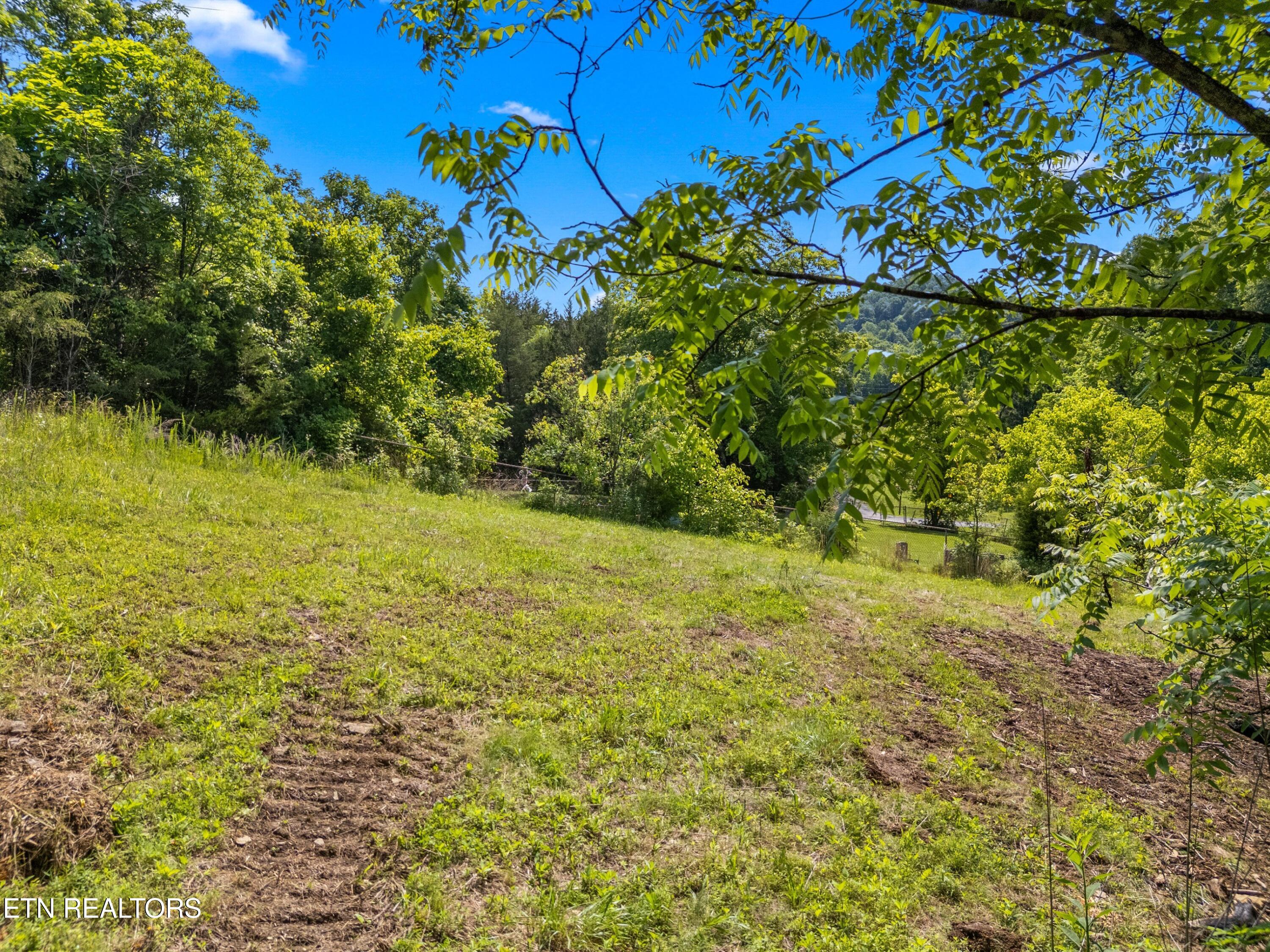 111 Kyle Valley Road Eidson TN 37731