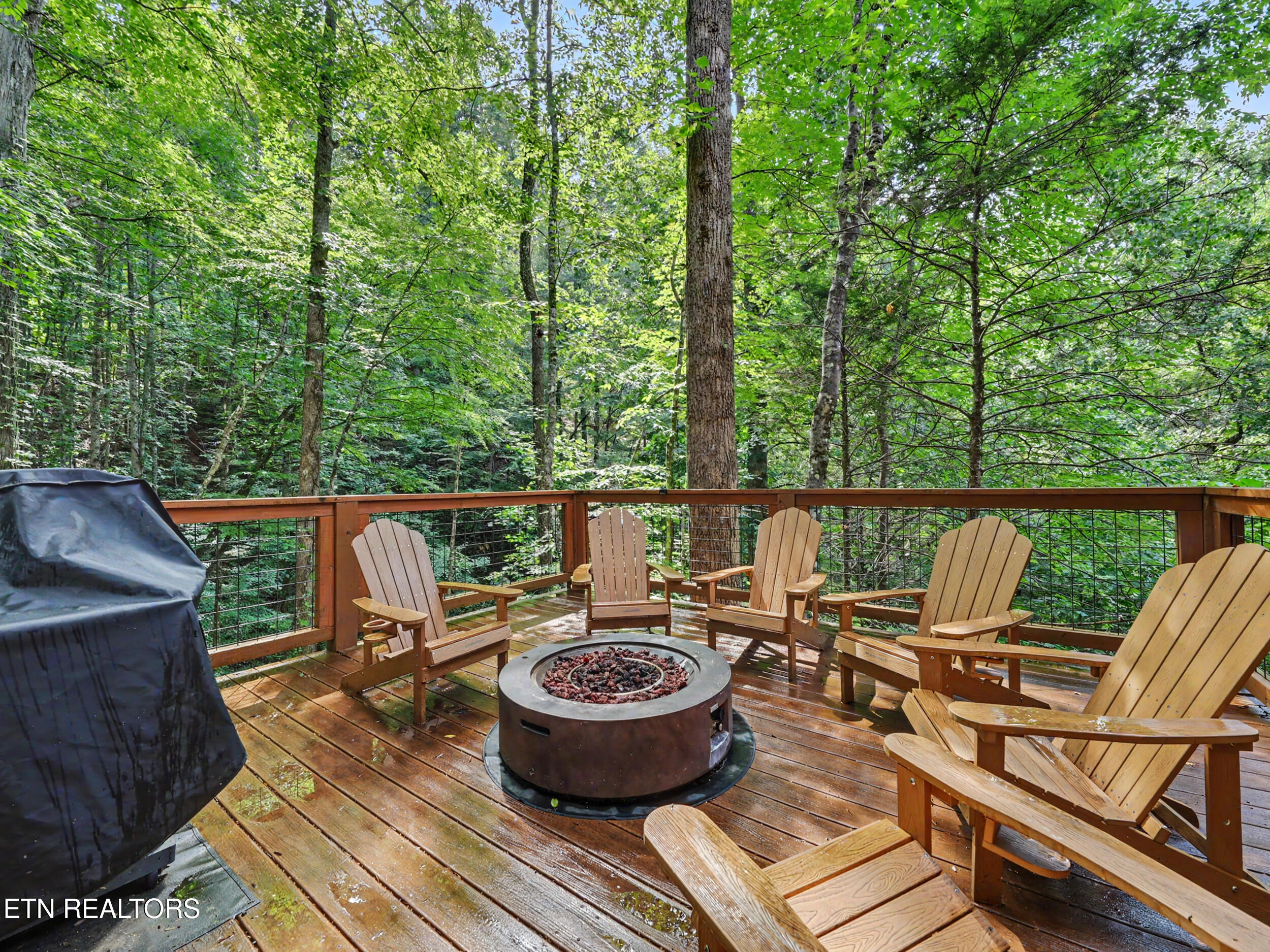 5230 Riversong Way Sevierville TN 37876