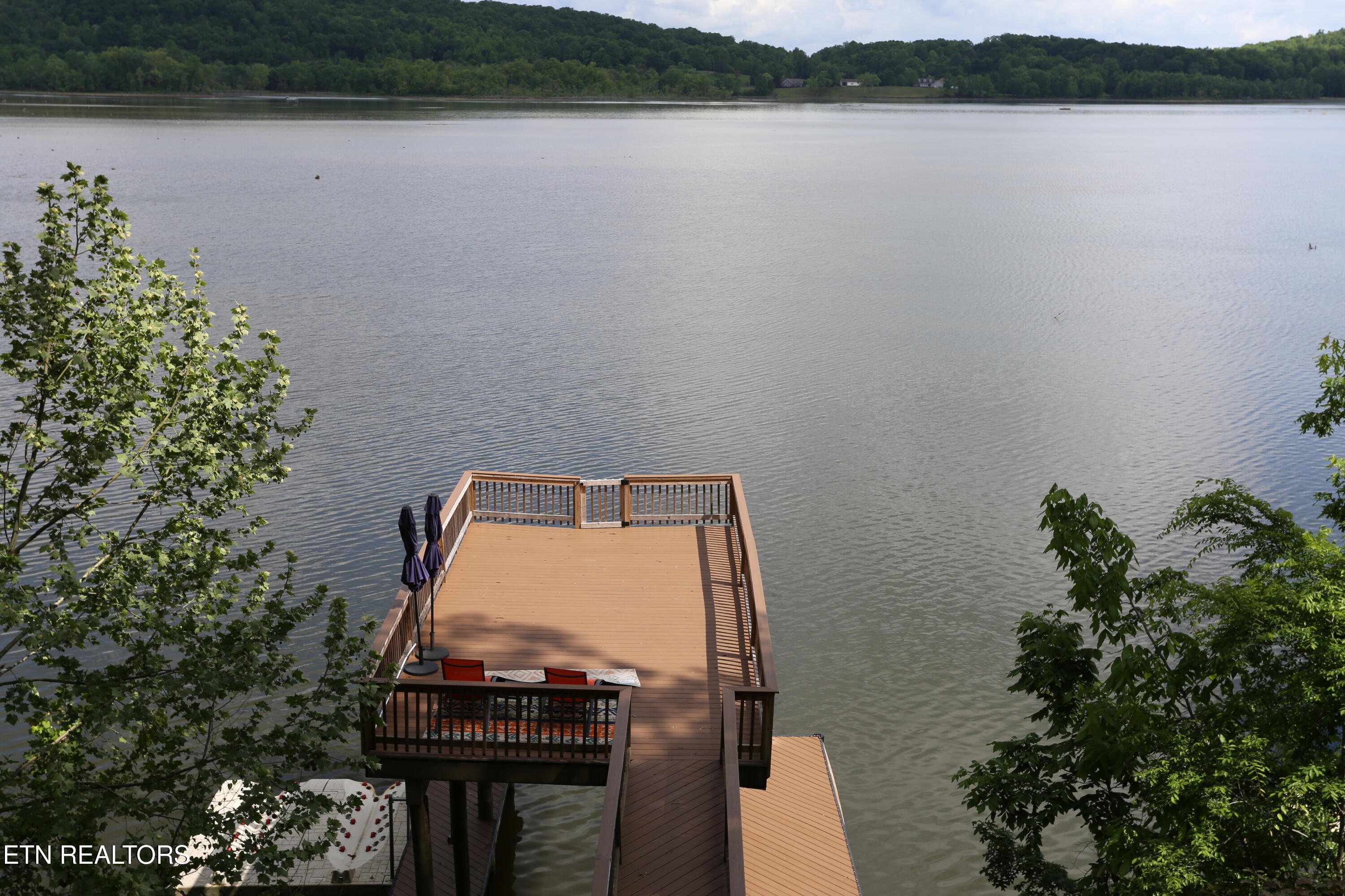 115 Dabbs Drive Spring City TN 37381