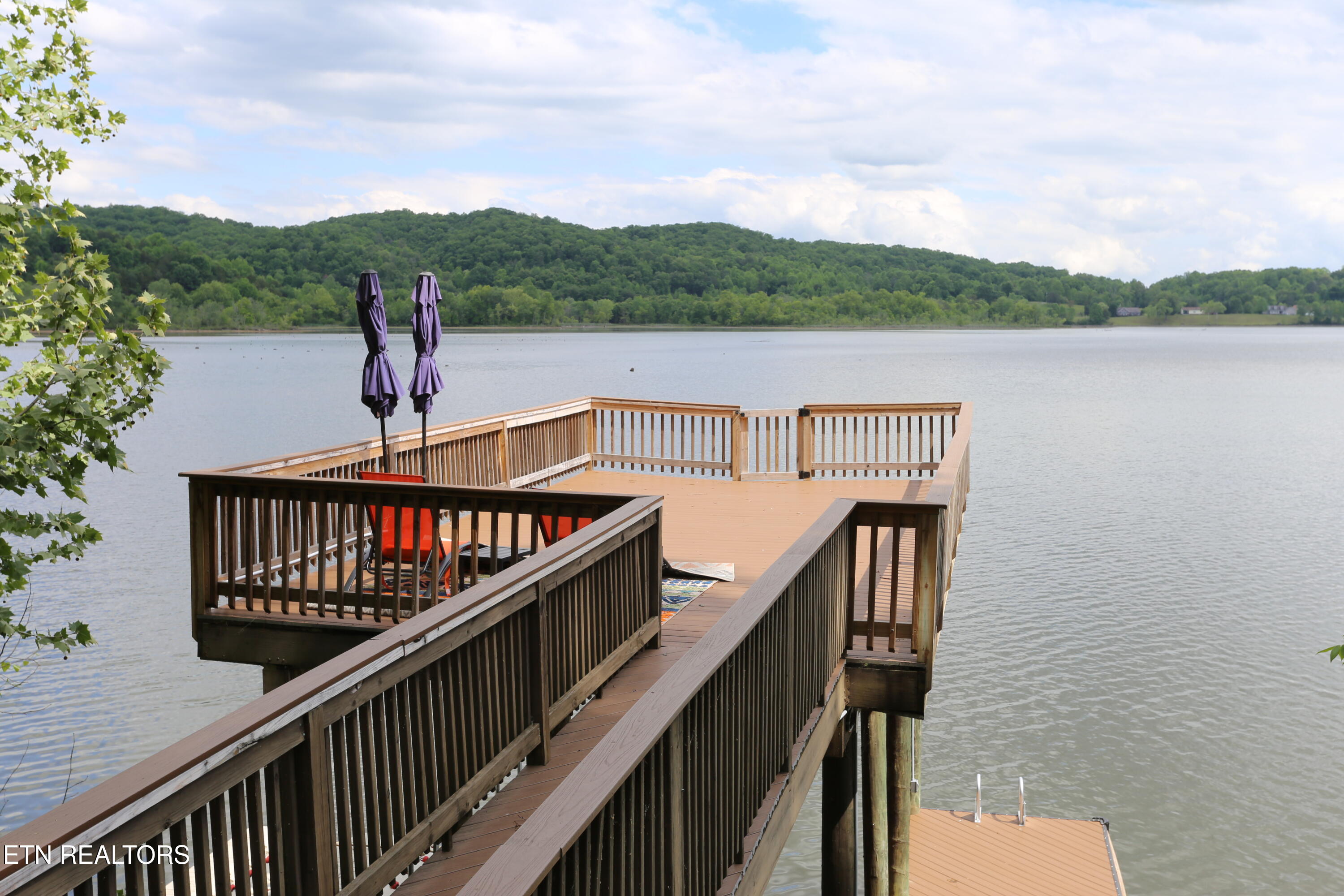 115 Dabbs Drive Spring City TN 37381