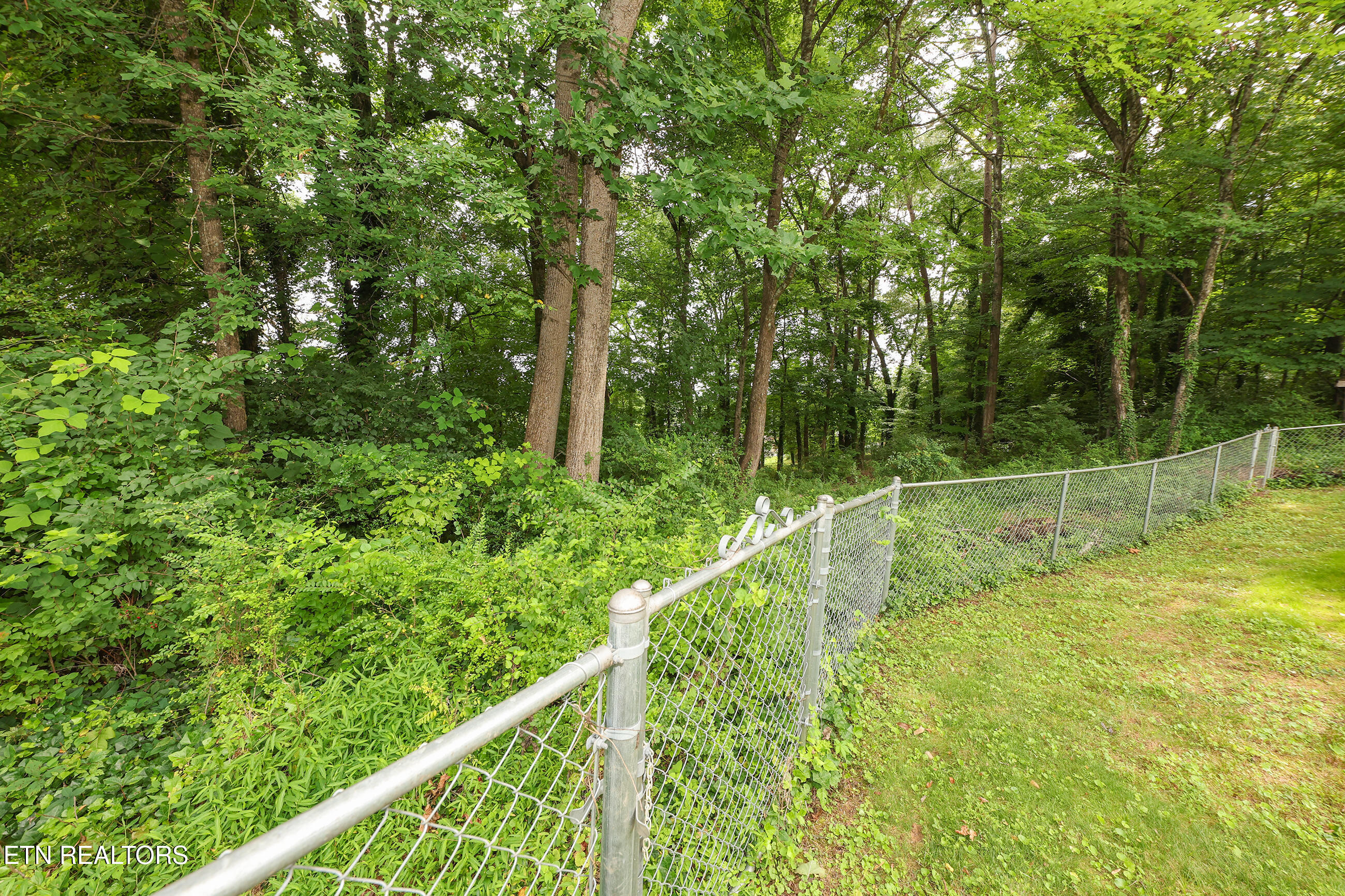 117 Tabor Road Oak Ridge TN 37830