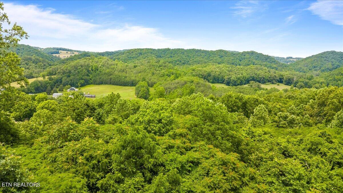 104 Jackson Road Andersonville TN 37705