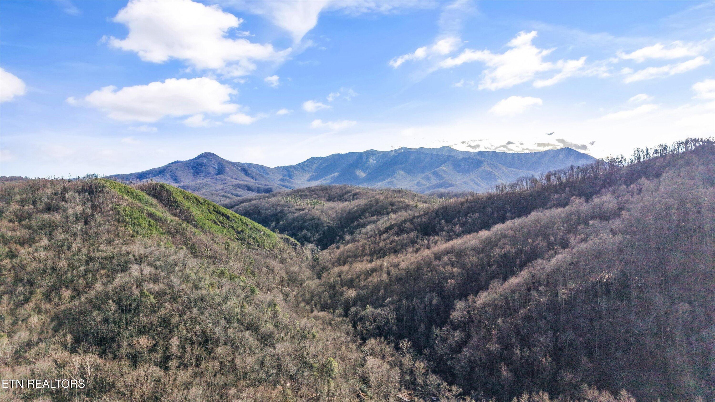 515 Woodland Drive Gatlinburg TN 37738