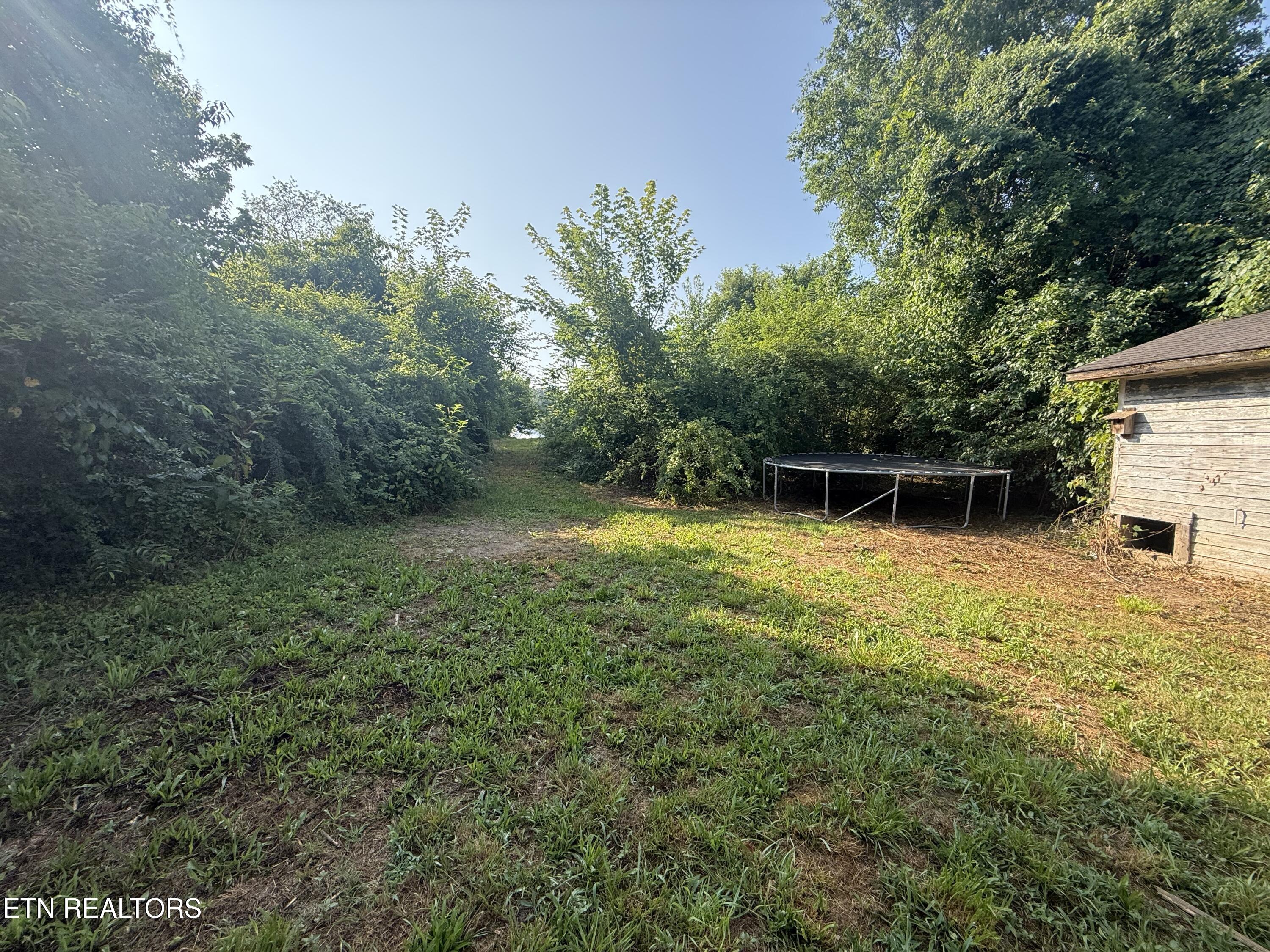 826 N Chamberlain Avenue Rockwood TN 37854