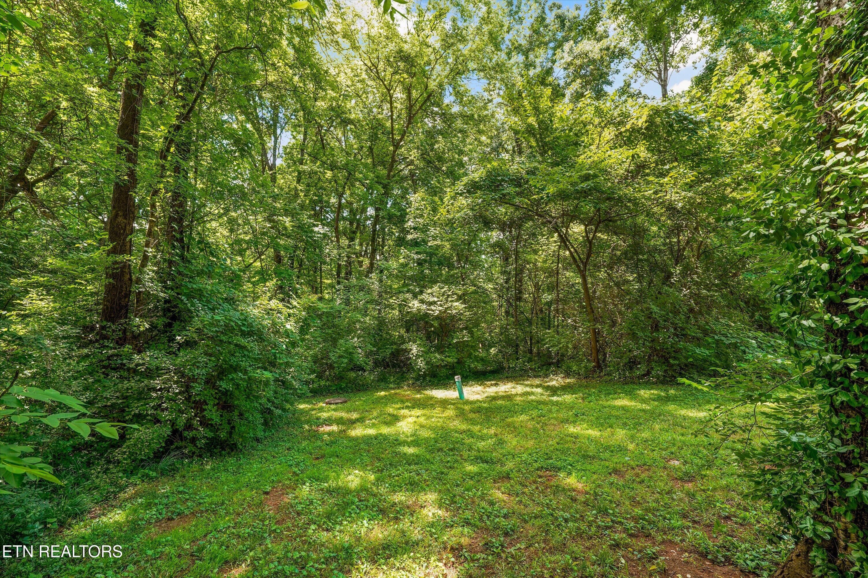 3900 Wayne Drive Knoxville TN 37914