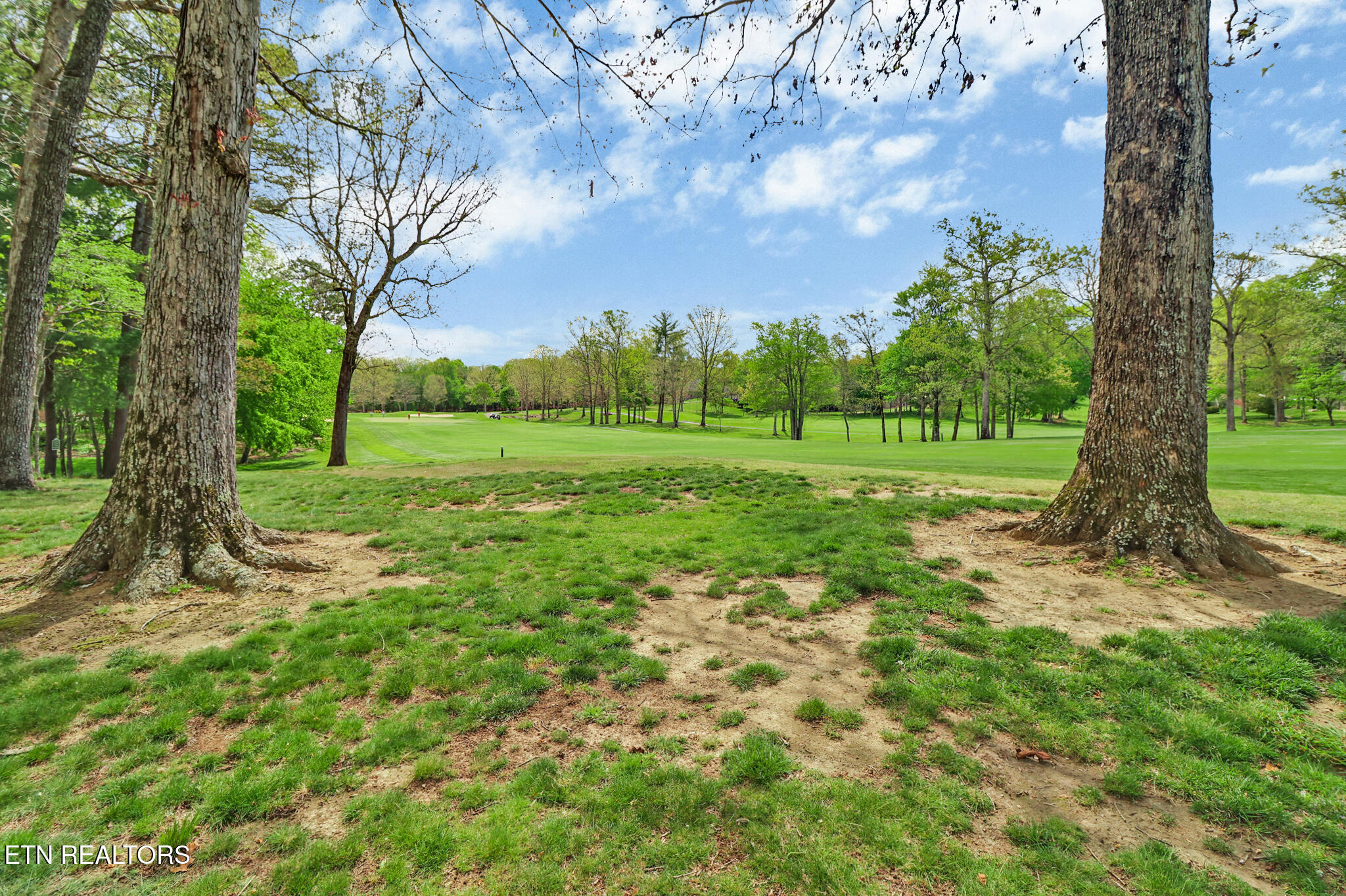 115 Forest View Drive Crossville TN 38558