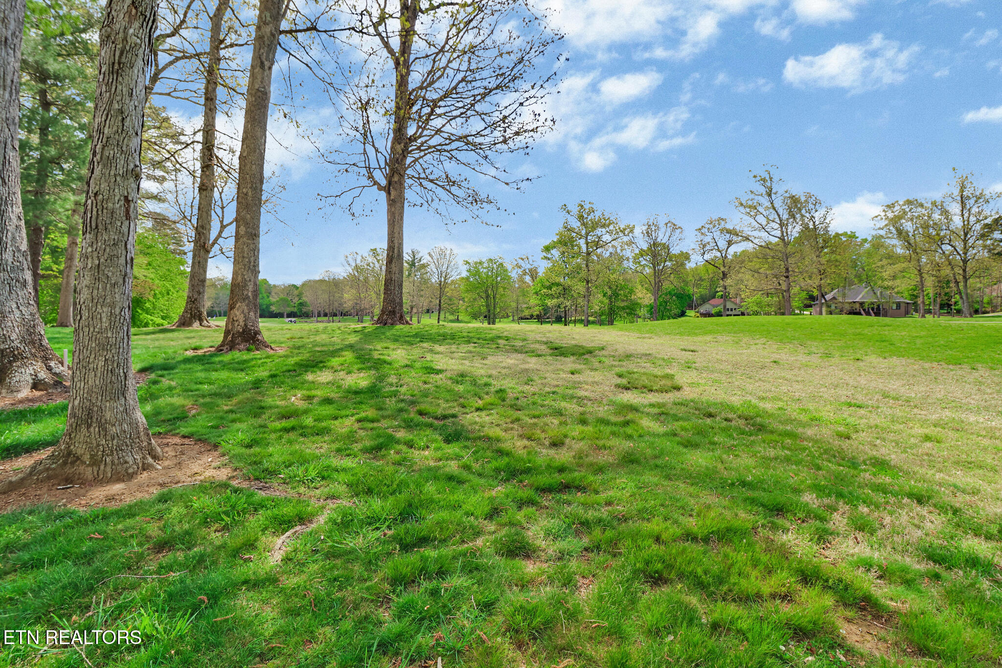 115 Forest View Drive Crossville TN 38558