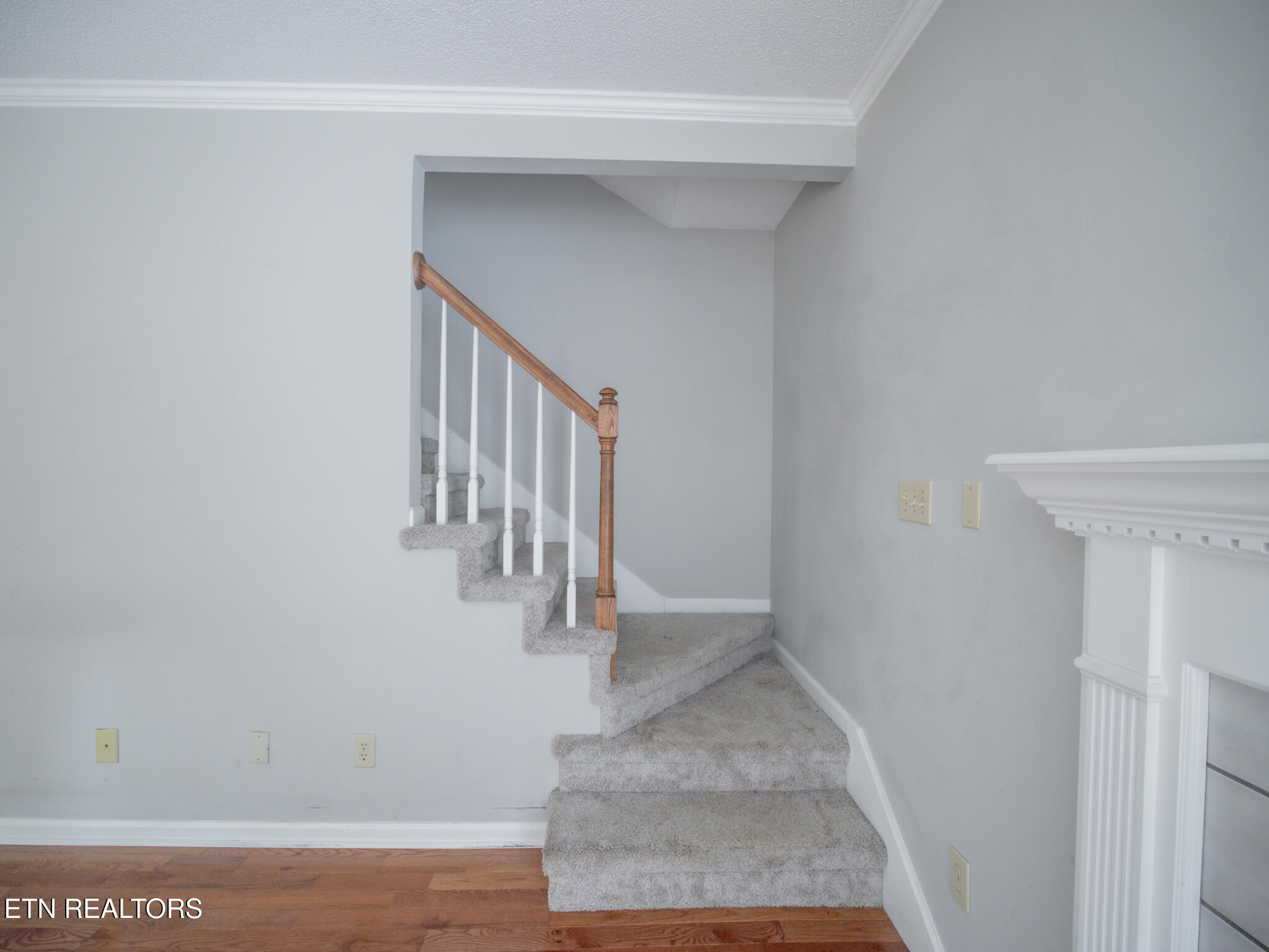 6501 Ridge Run Drive Knoxville TN 37921
