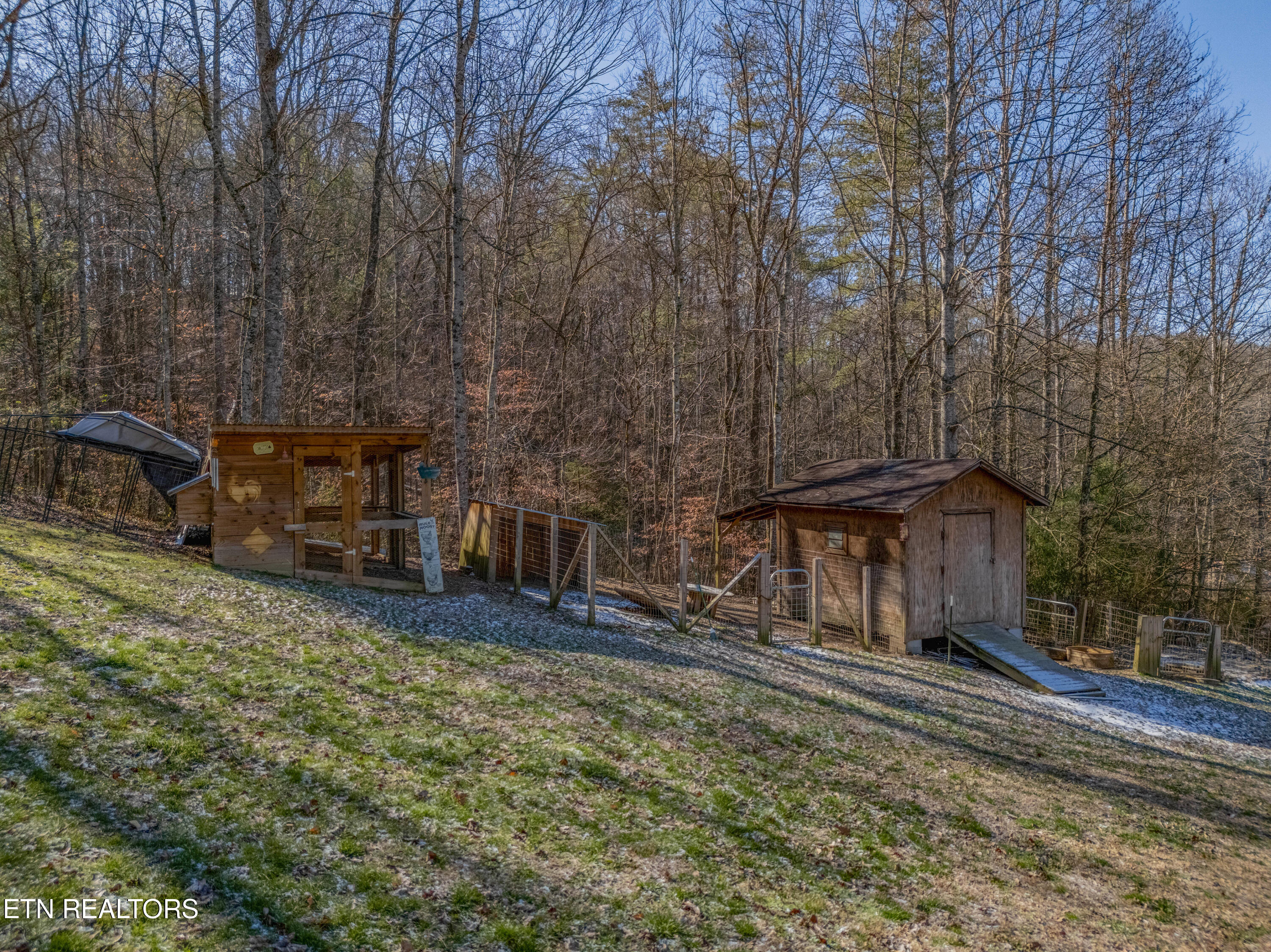 161 Adcock Hollow Road Harriman TN 37748