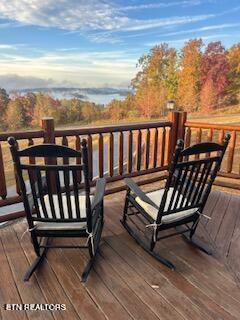 539 Thief Neck View Drive Rockwood TN 37854