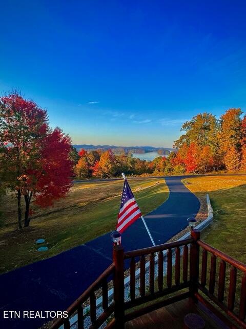 539 Thief Neck View Drive Rockwood TN 37854