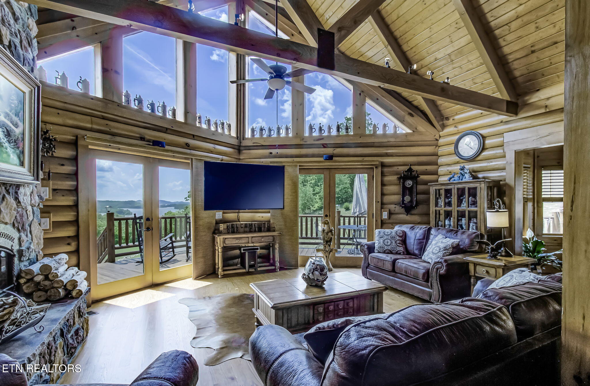 539 Thief Neck View Drive Rockwood TN 37854