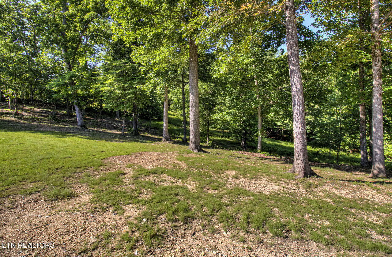 539 Thief Neck View Drive Rockwood TN 37854