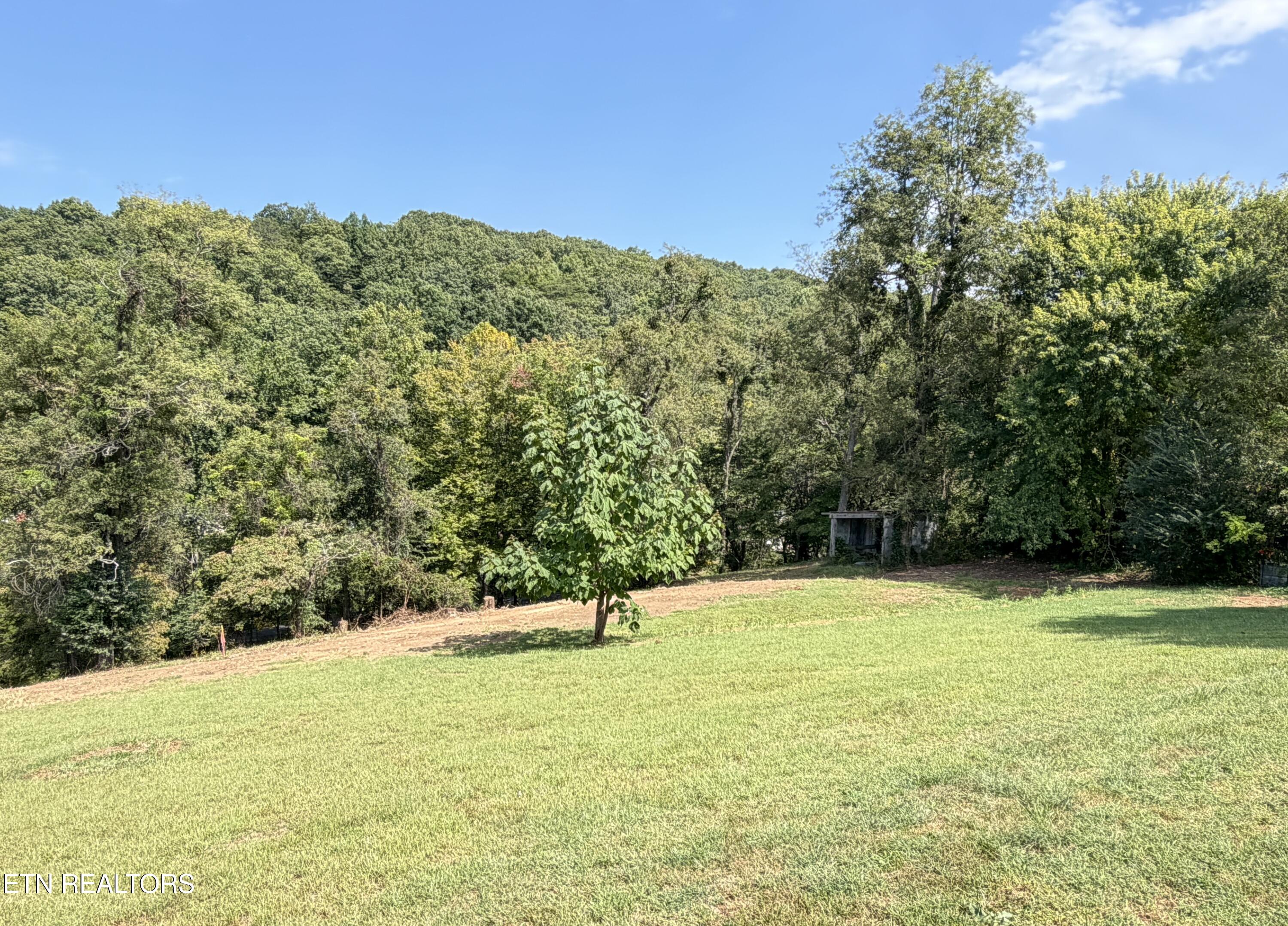 196 Pine Crest Drive Maynardville TN 37807