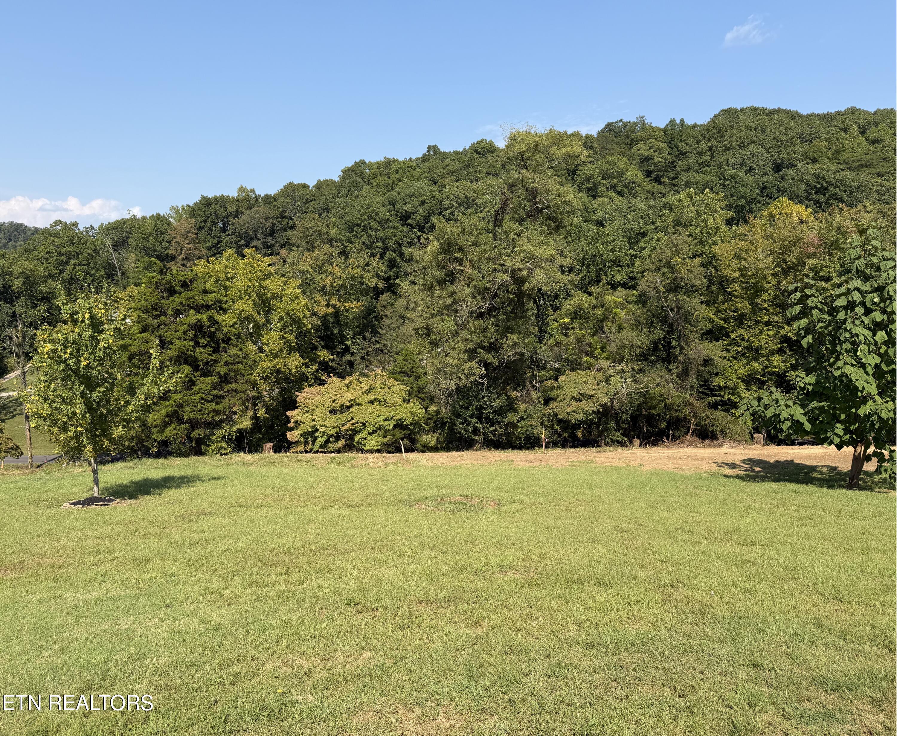 196 Pine Crest Drive Maynardville TN 37807