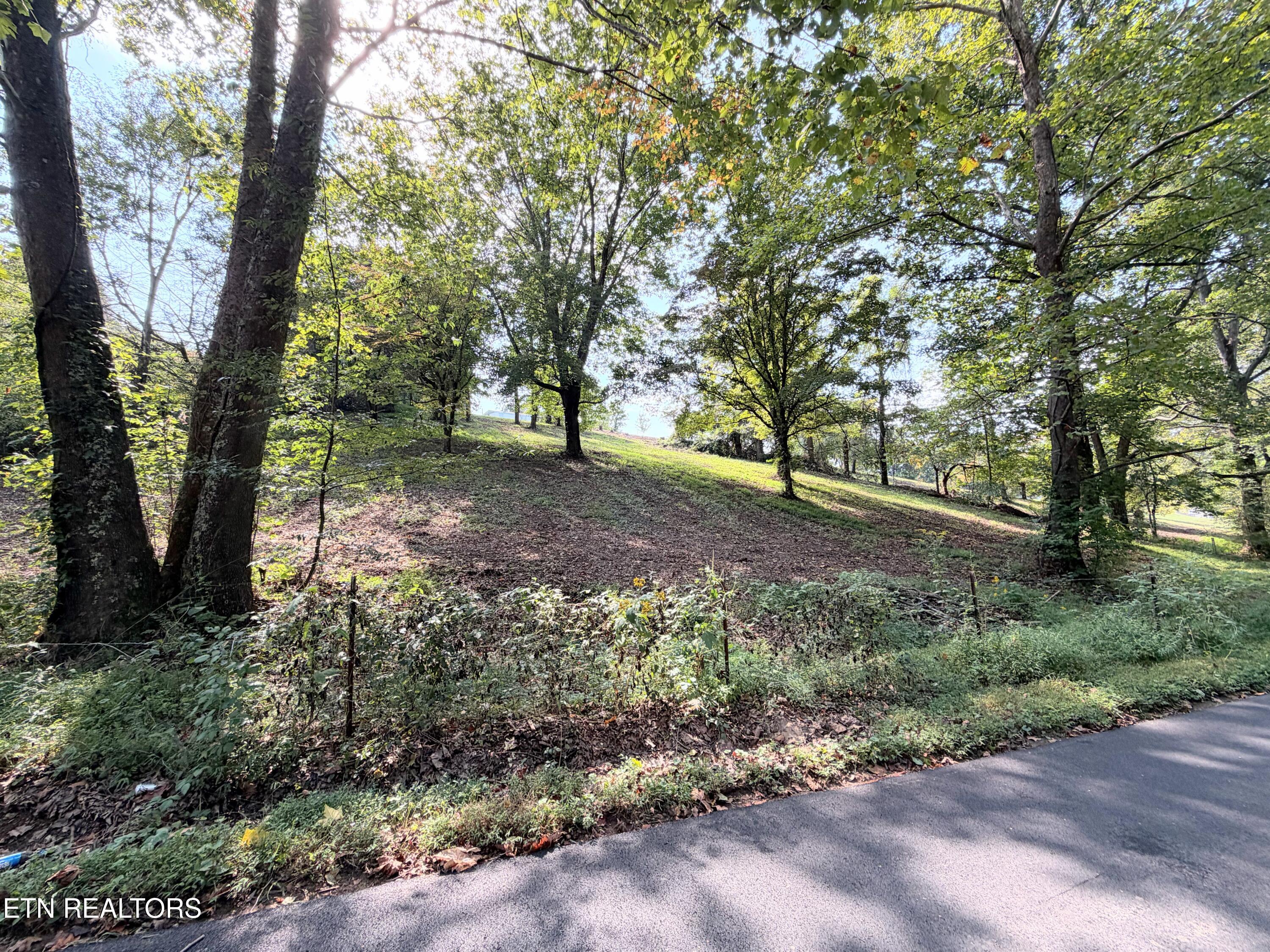 196 Pine Crest Drive Maynardville TN 37807