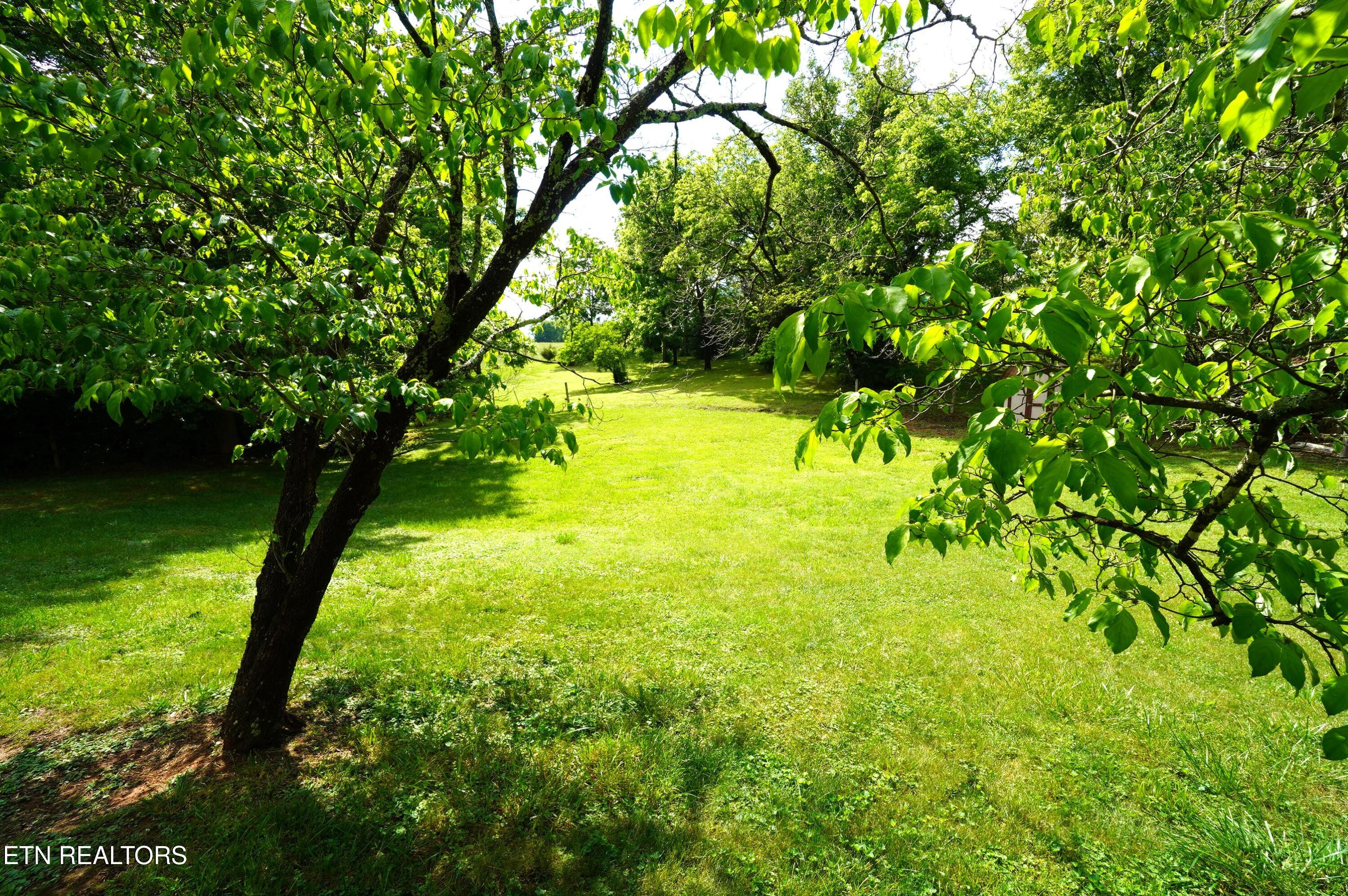 1006 Woodland Way Dandridge TN 37725