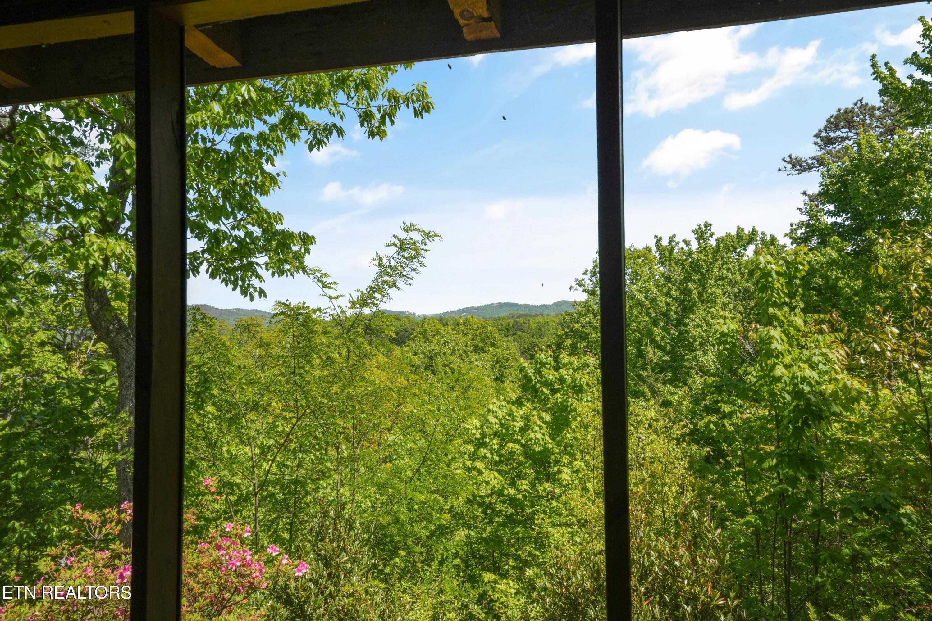 3694 Marian Lake Way Pigeon Forge TN 37862