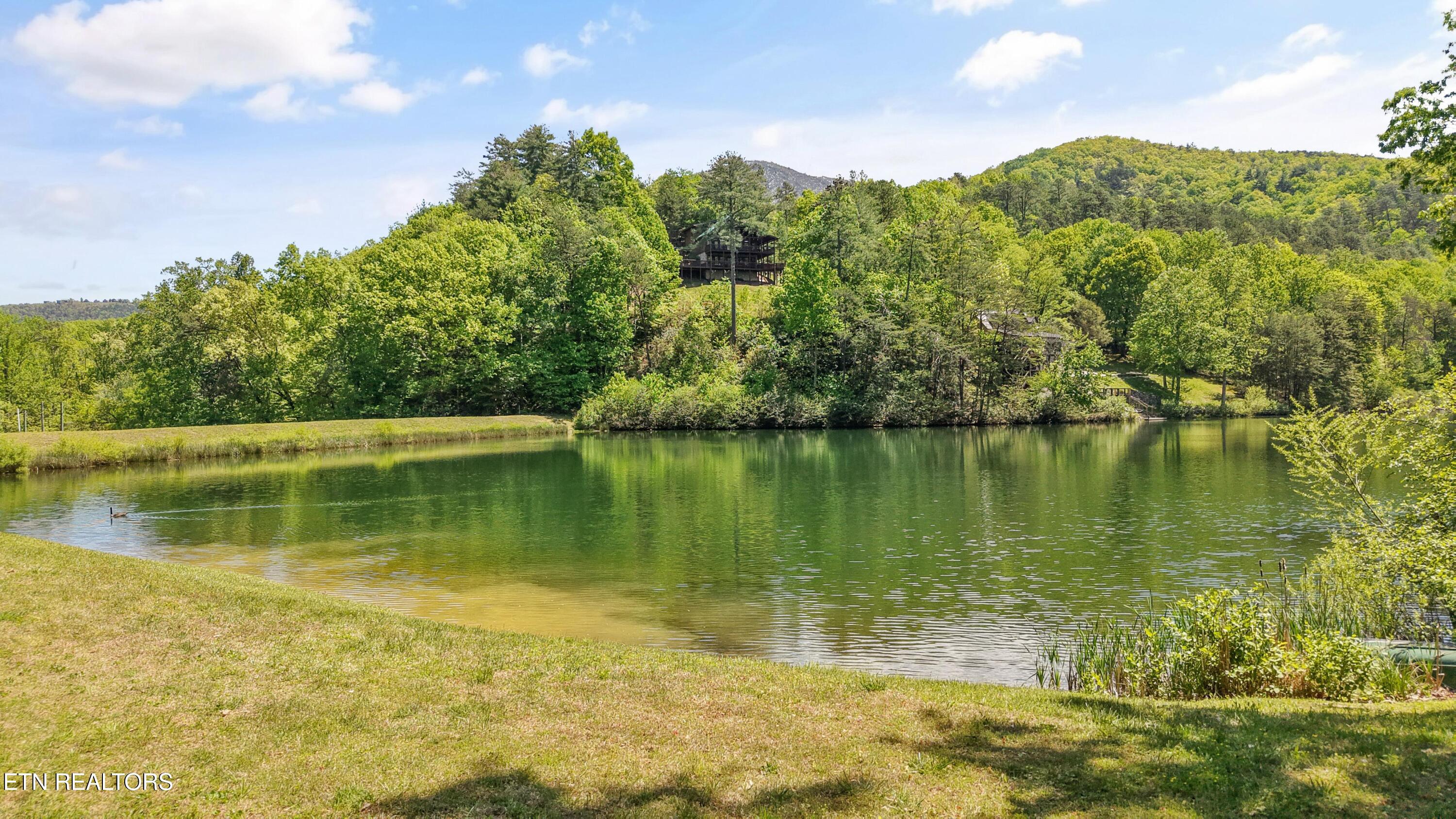 3694 Marian Lake Way Pigeon Forge TN 37862