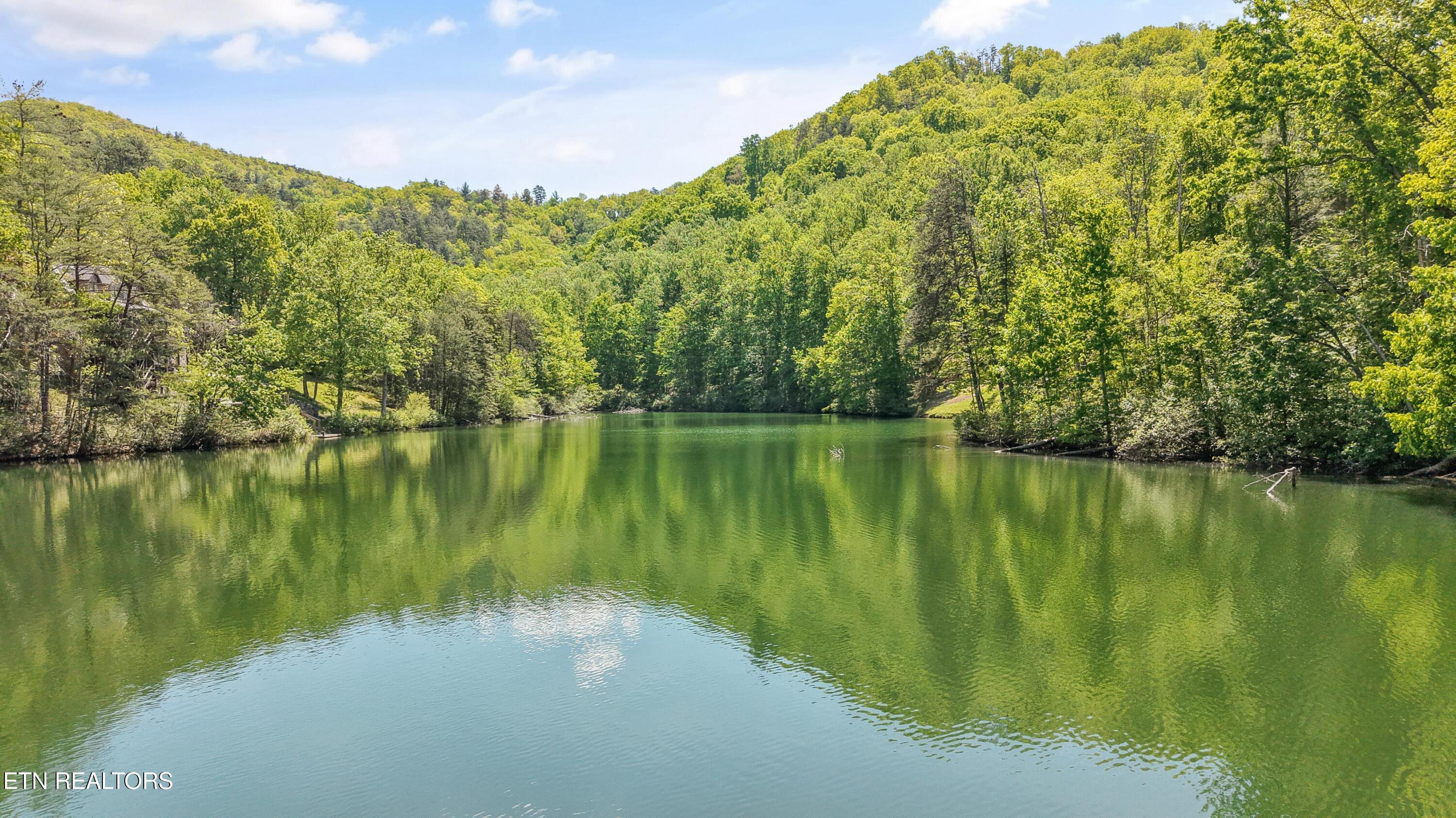3694 Marian Lake Way Pigeon Forge TN 37862
