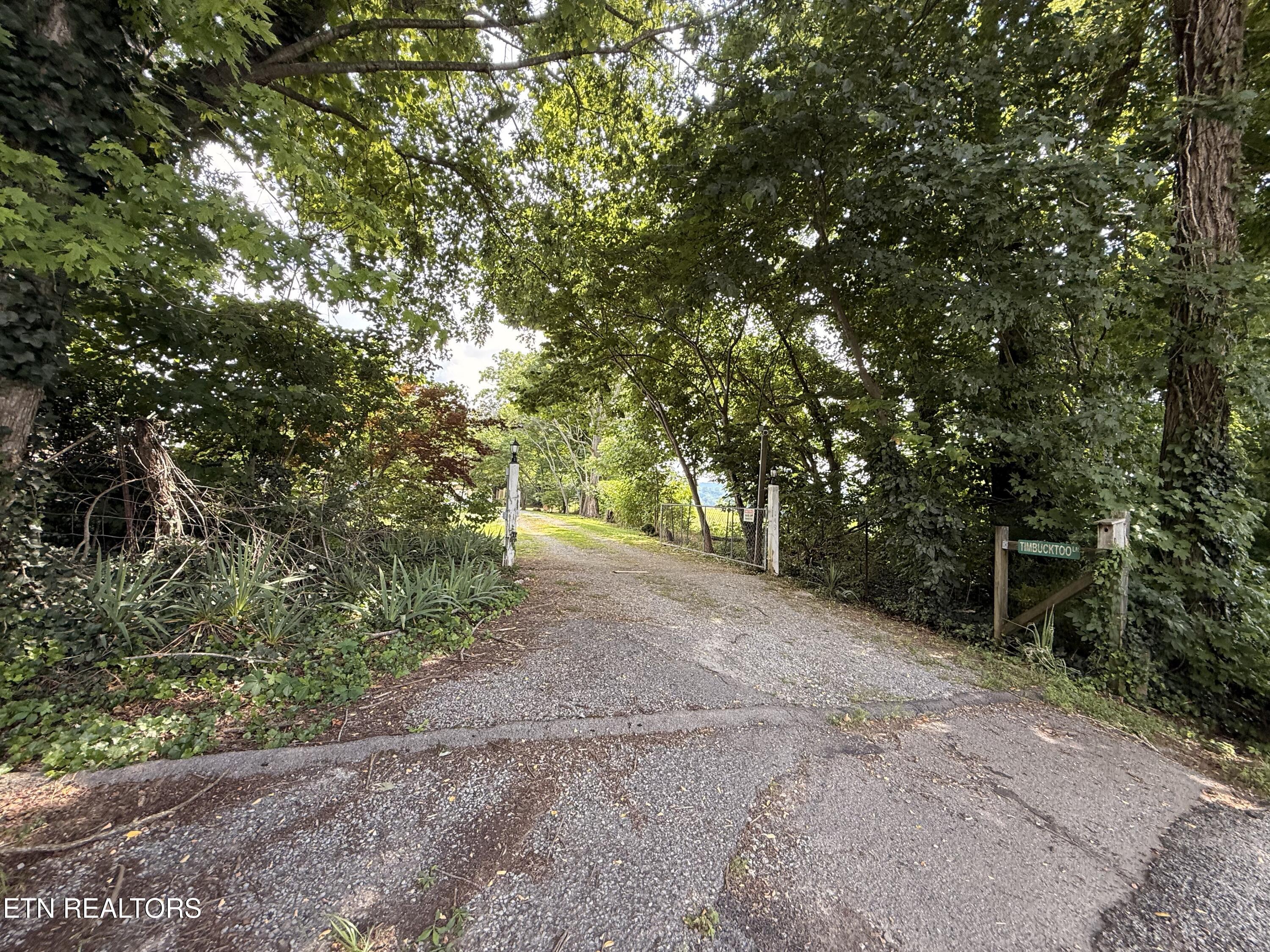 149 Timbuktooo Lane Speedwell TN 37870