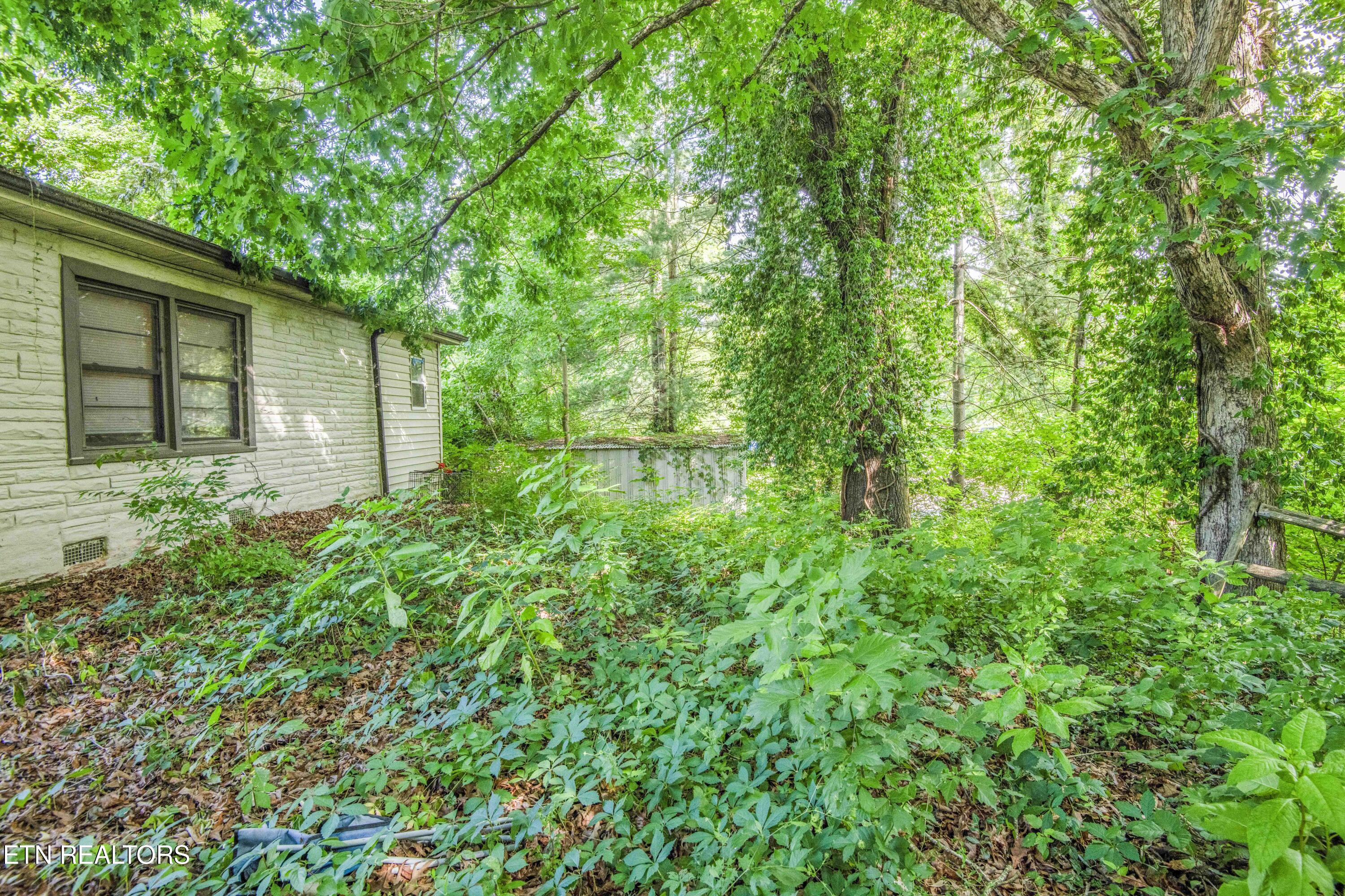 325 W Hills Drive Lenoir City TN 37771