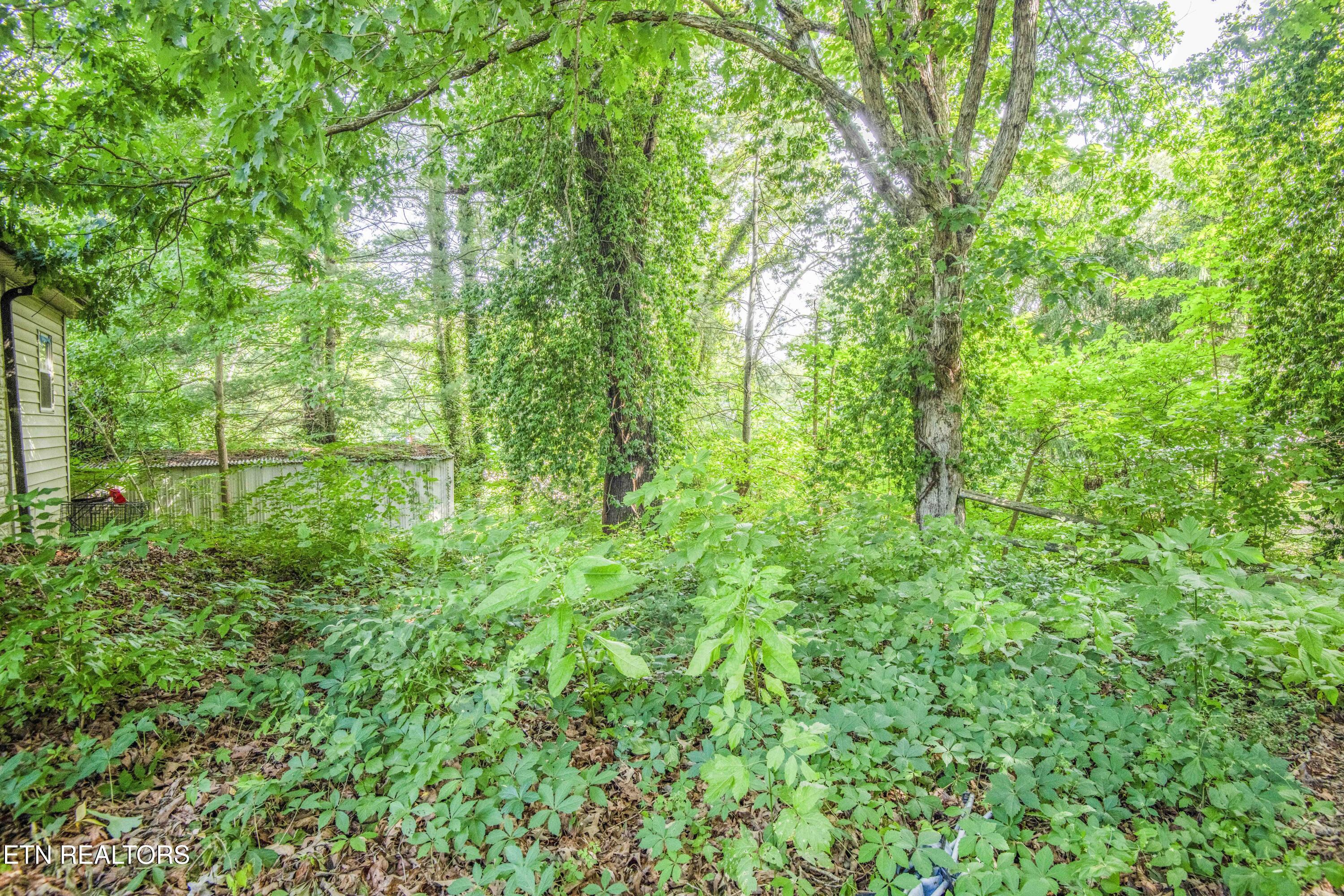 325 W Hills Drive Lenoir City TN 37771