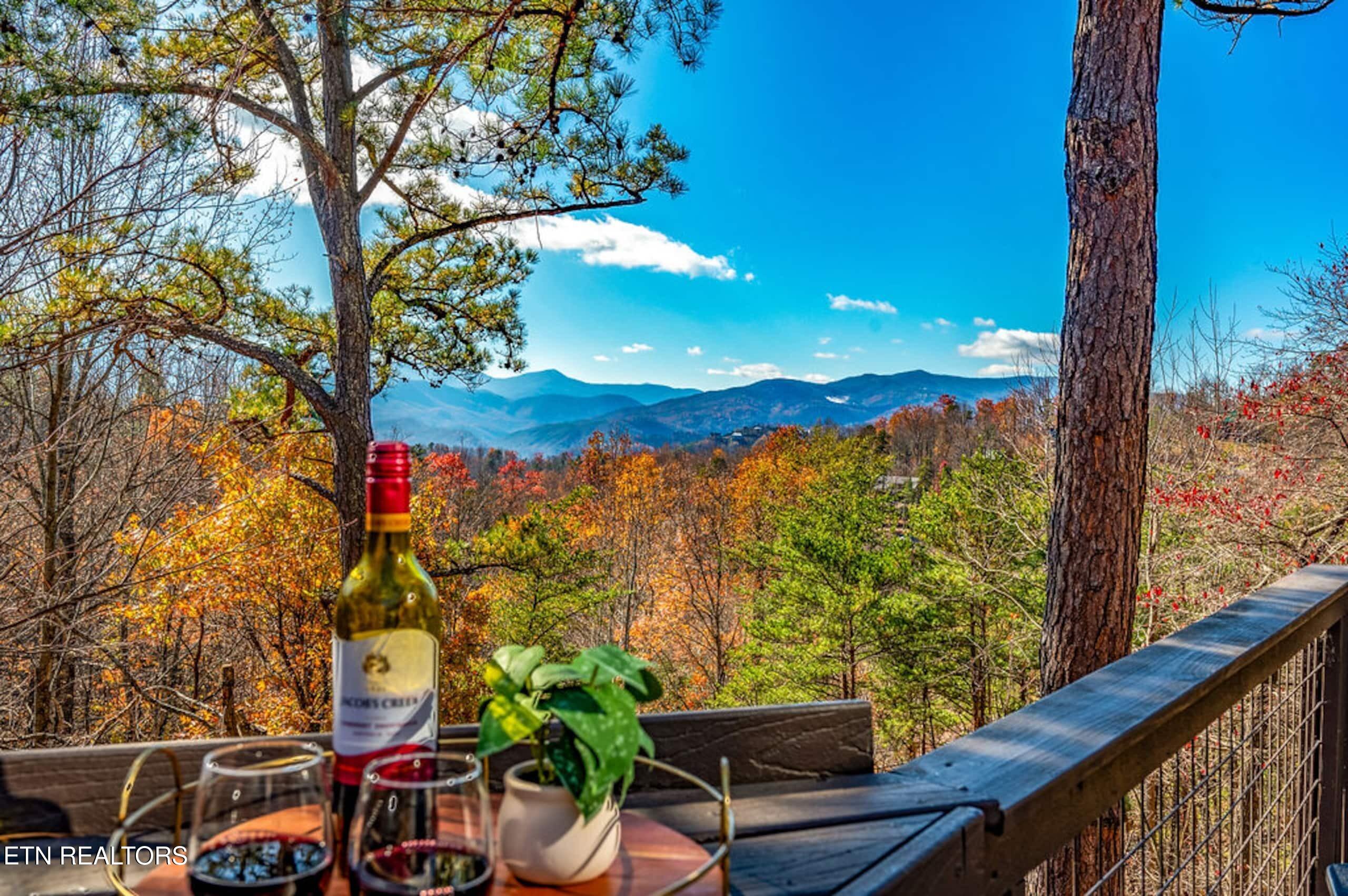 1068 E Foothills Drive Gatlinburg TN 37738