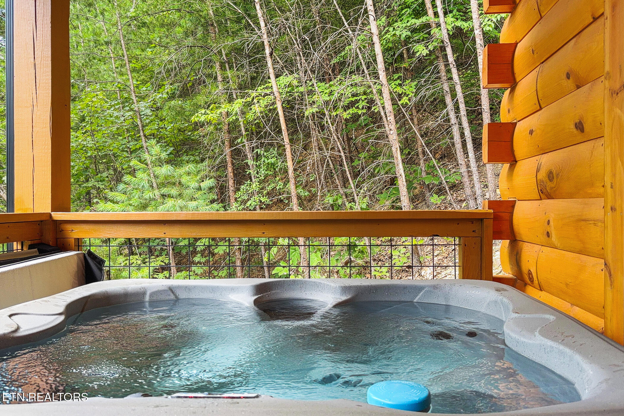 1026 Black Bear Cub Way Sevierville TN 37862