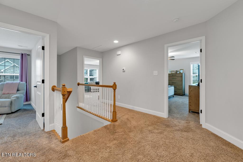 8206 Equinox Lane Powell TN 37849