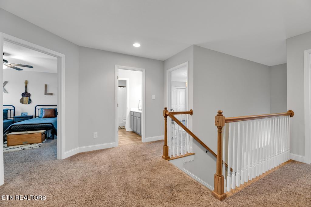8206 Equinox Lane Powell TN 37849