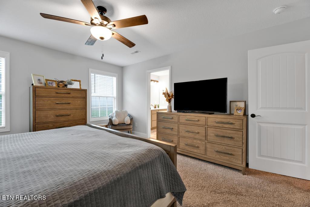 8206 Equinox Lane Powell TN 37849