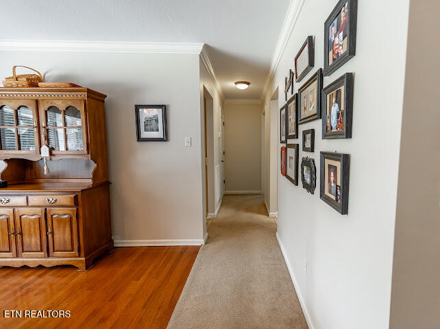 5705 Rhyne Cove Lane Knoxville TN 37931