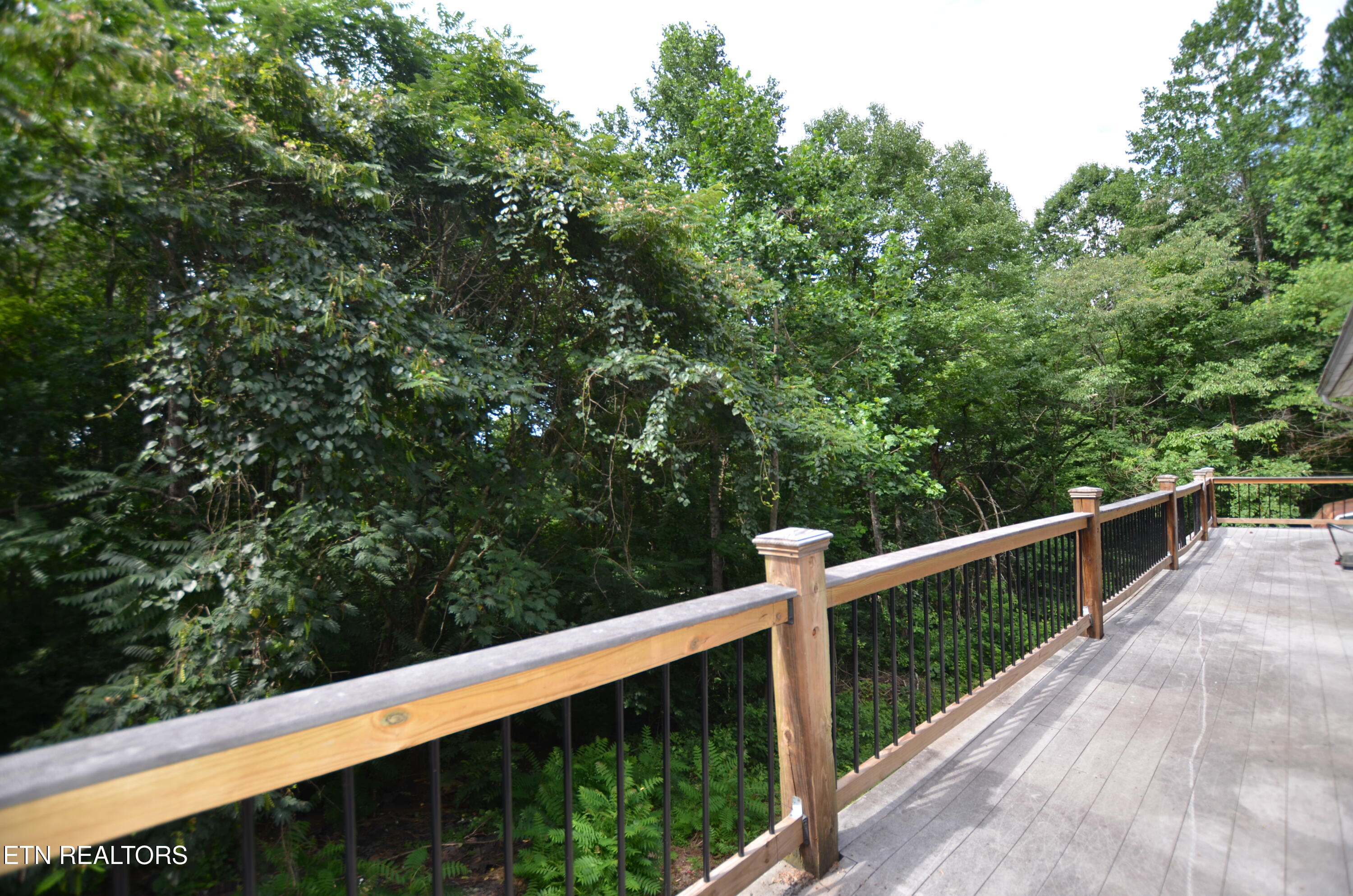 188 Green Lane Powell TN 37849