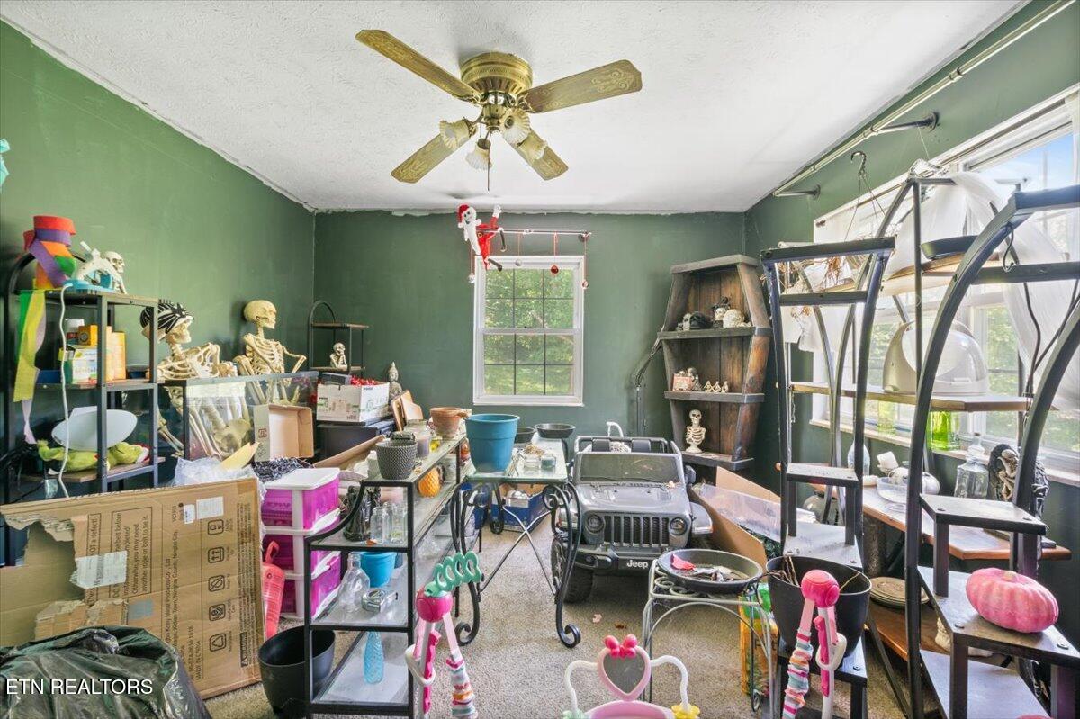 330 Dilbeck Lane Caryville TN 37714