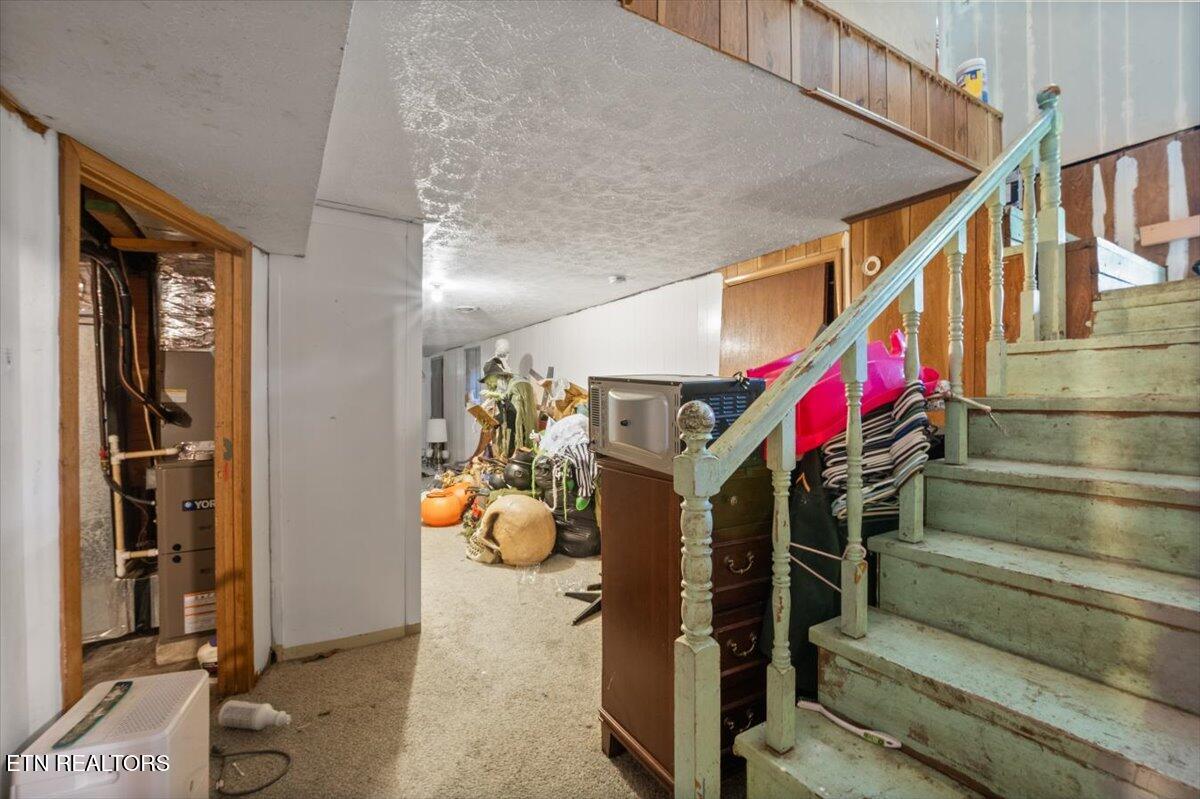 330 Dilbeck Lane Caryville TN 37714