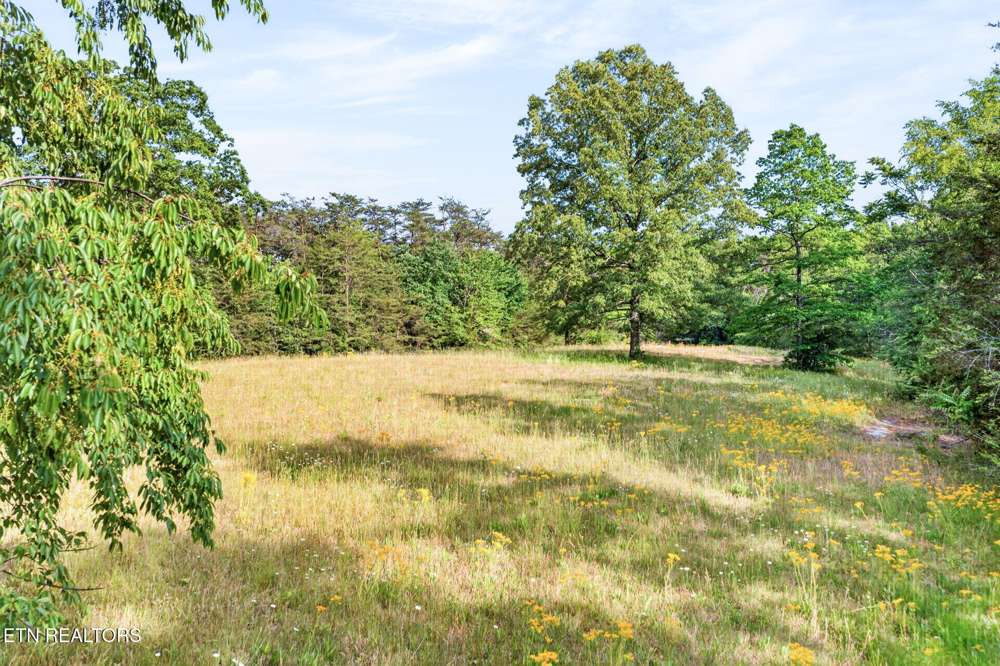 25 Old Kentucky Stock Road Crossville TN 38571