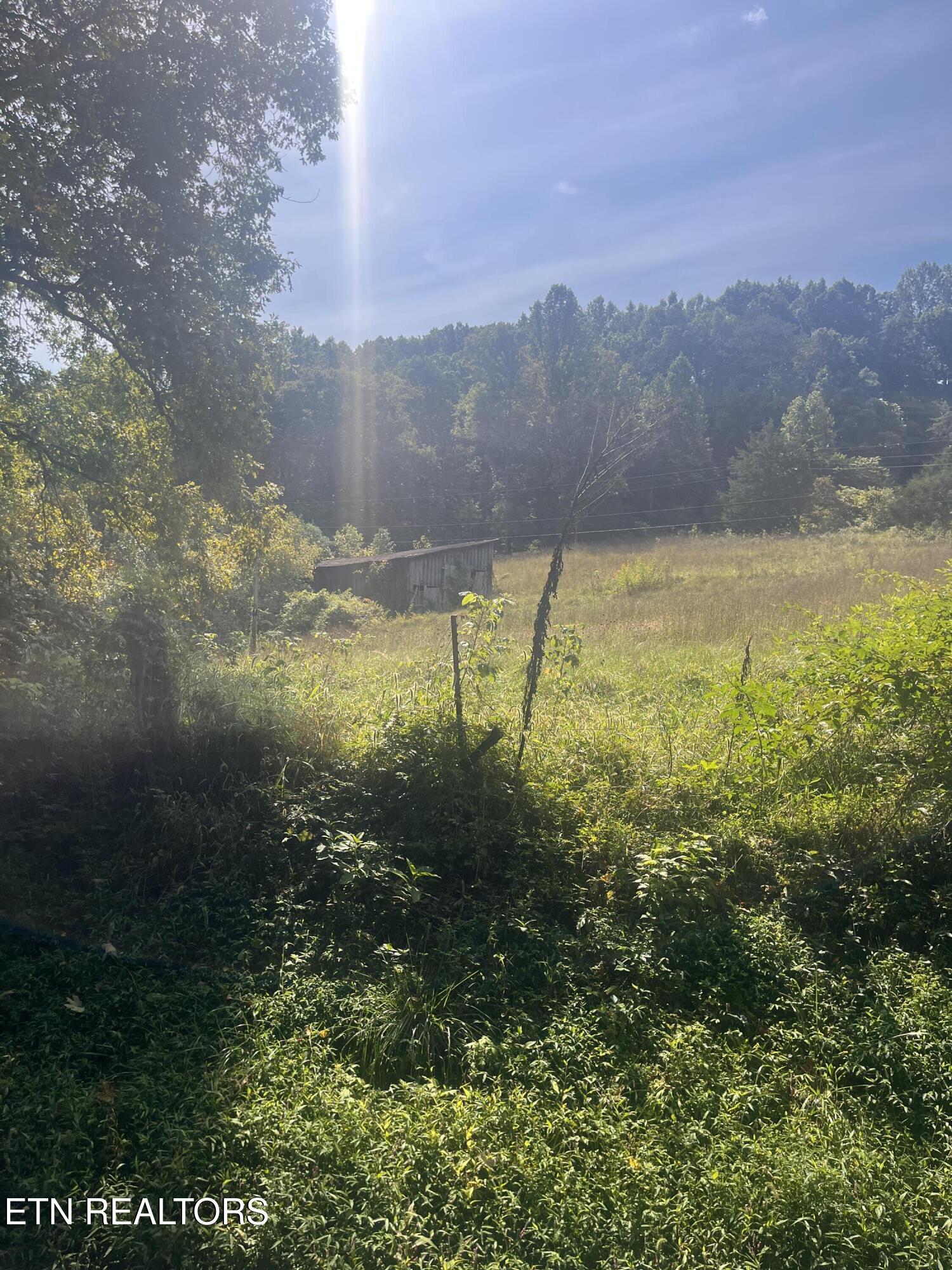 346 Wolfenbarger Lane Luttrell TN 37779