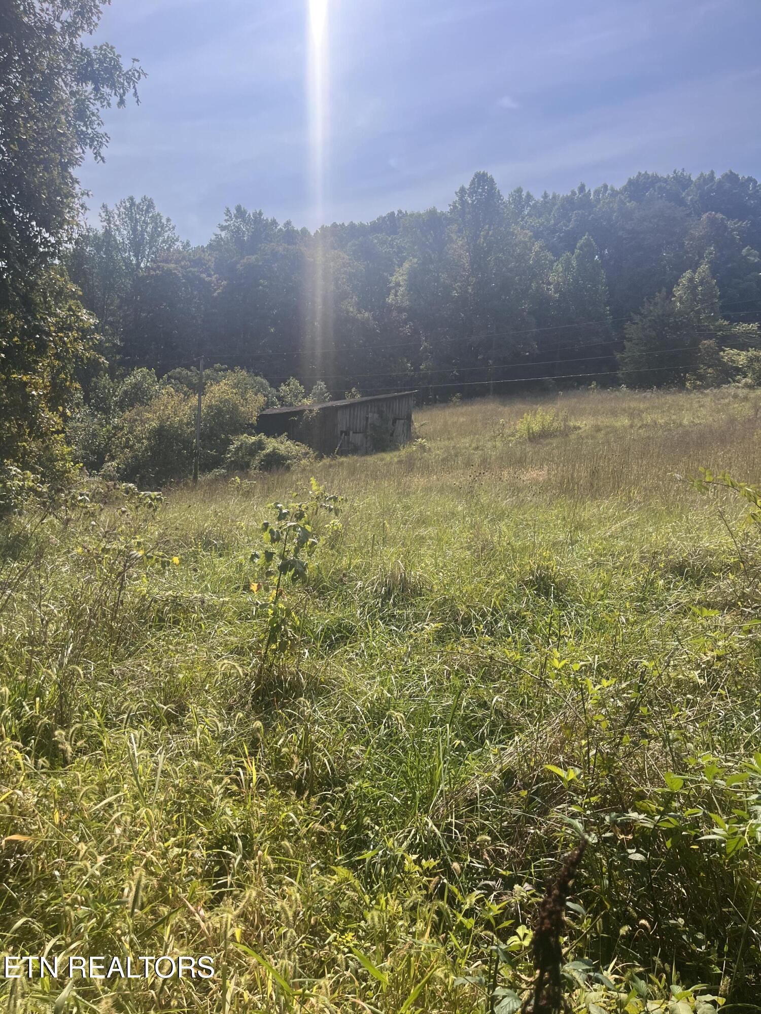 346 Wolfenbarger Lane Luttrell TN 37779