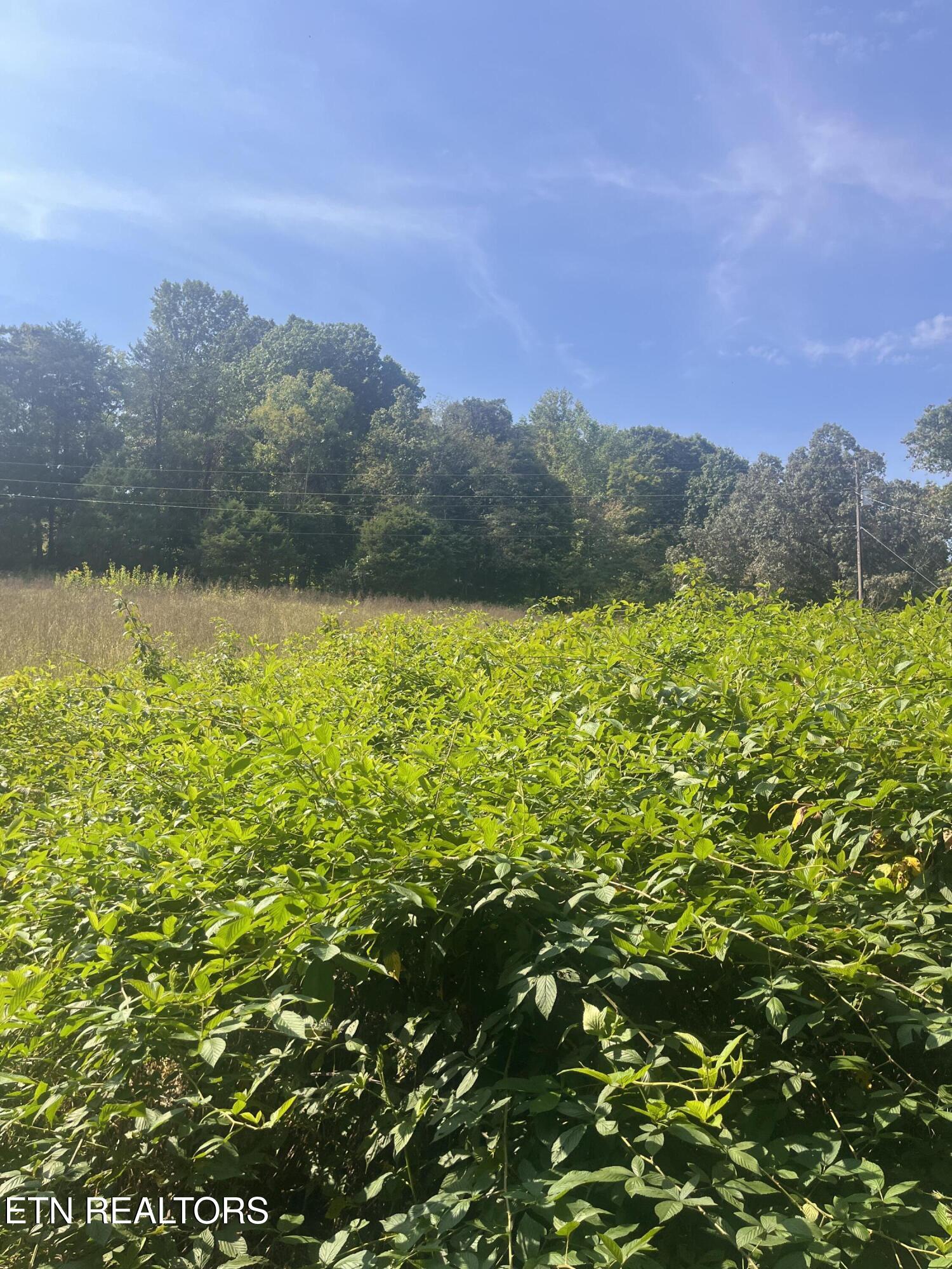 346 Wolfenbarger Lane Luttrell TN 37779