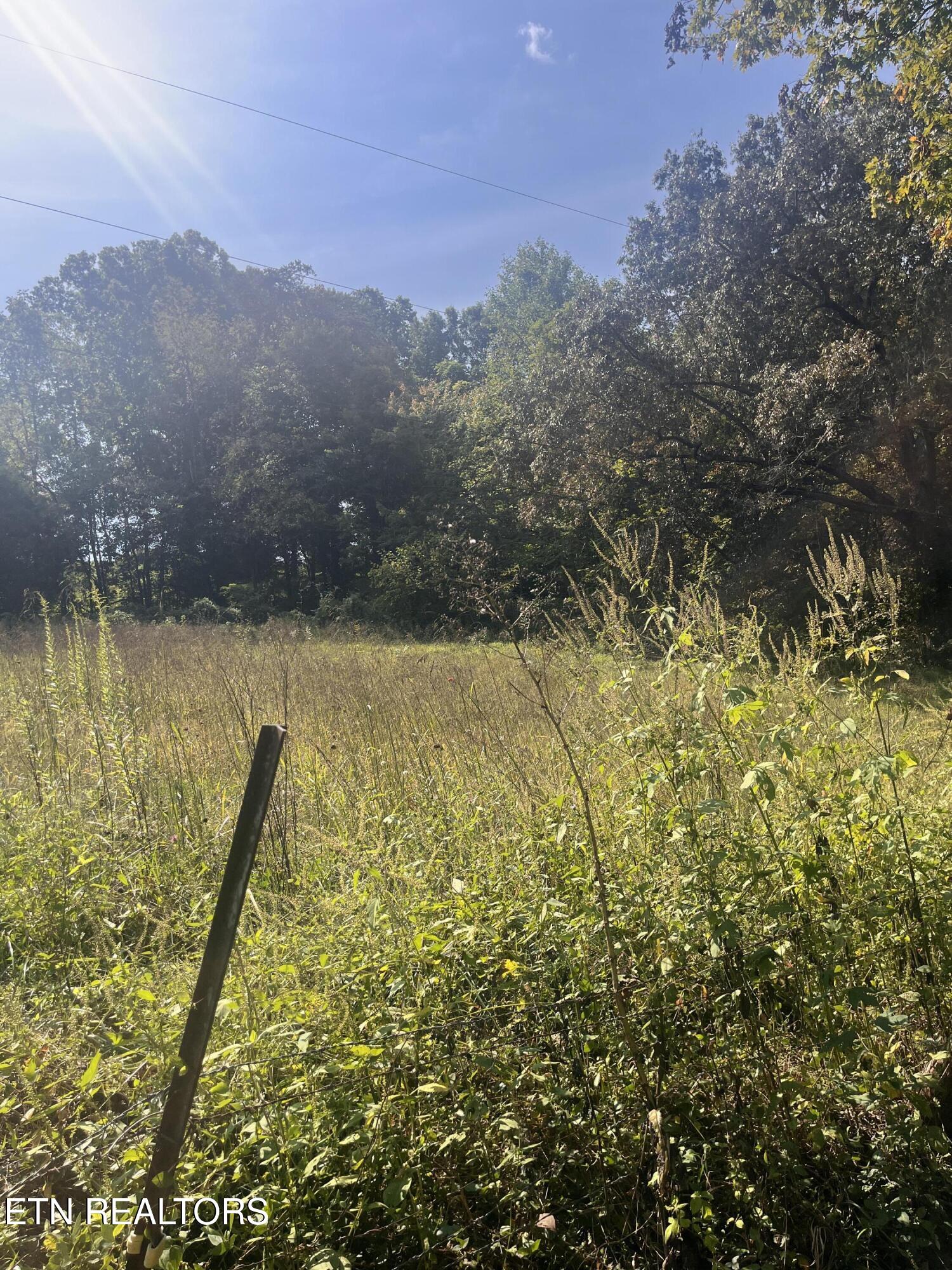 346 Wolfenbarger Lane Luttrell TN 37779