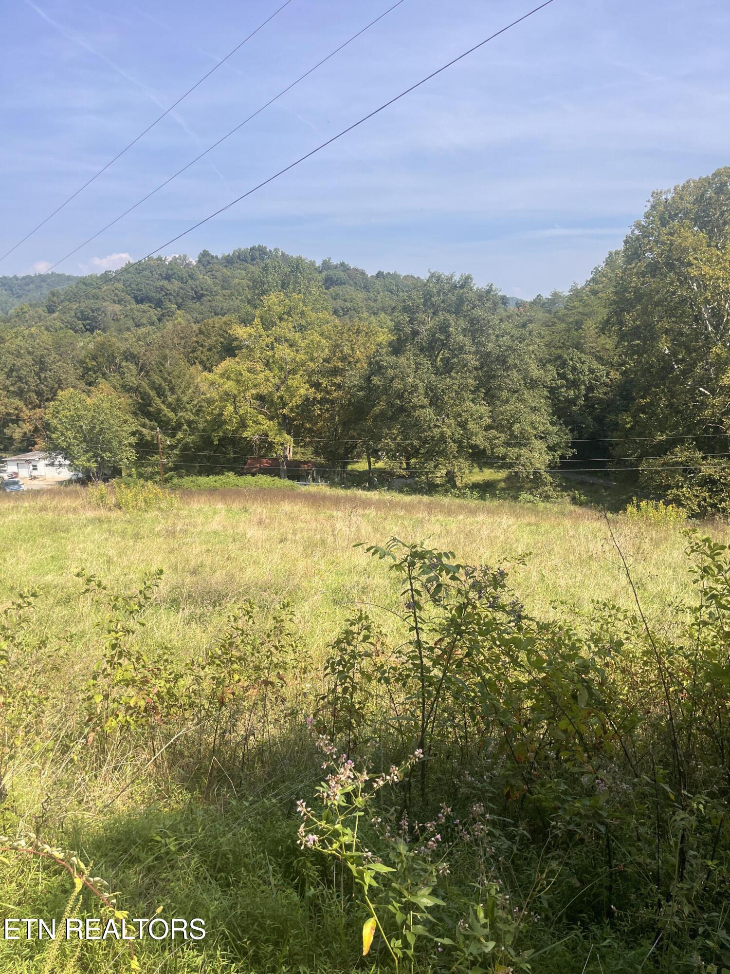 346 Wolfenbarger Lane Luttrell TN 37779