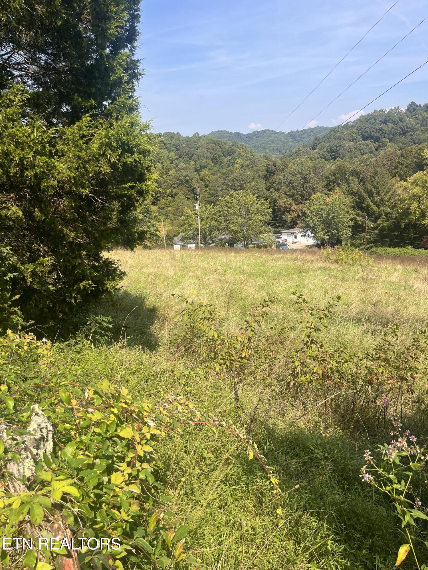 346 Wolfenbarger Lane Luttrell TN 37779