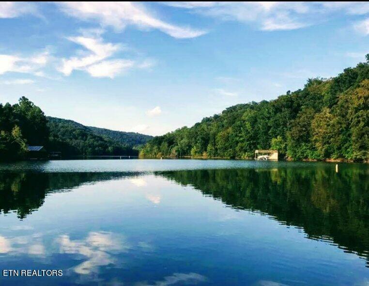 180 Flat Hollow Marina Road Speedwell TN 37870