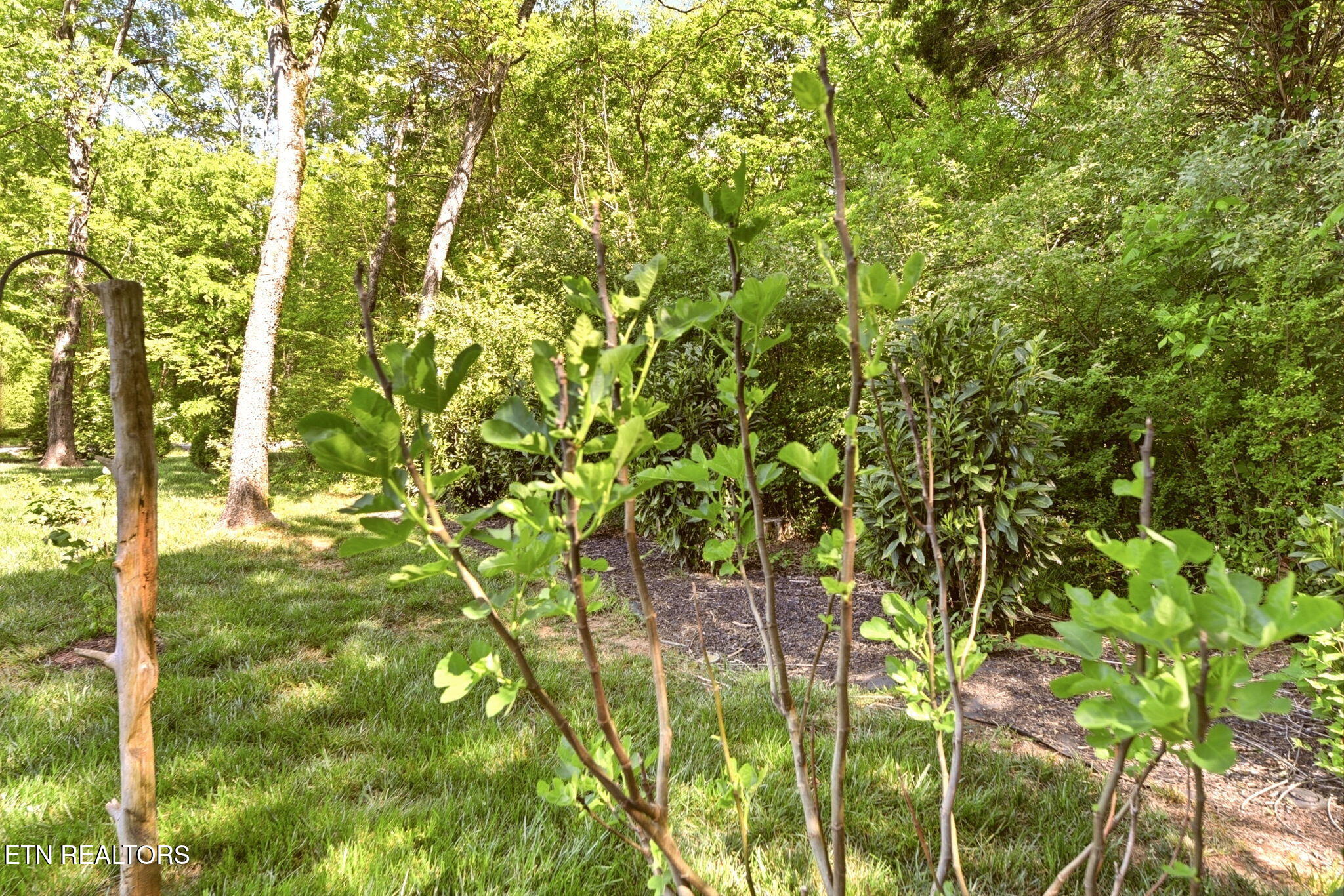 106 Chatuga Drive Loudon TN 37774