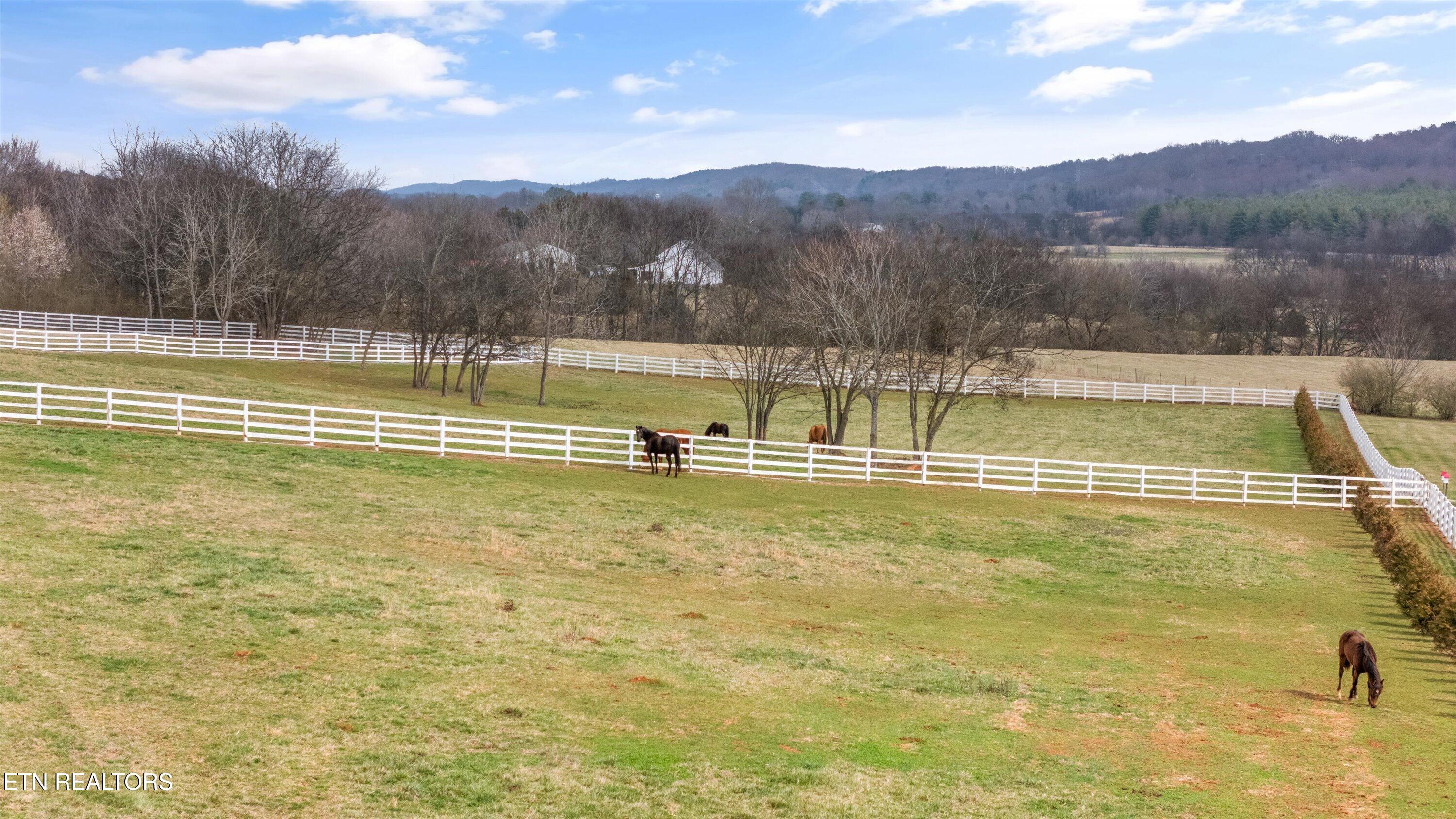 208 County Road 260 Niota TN 37826