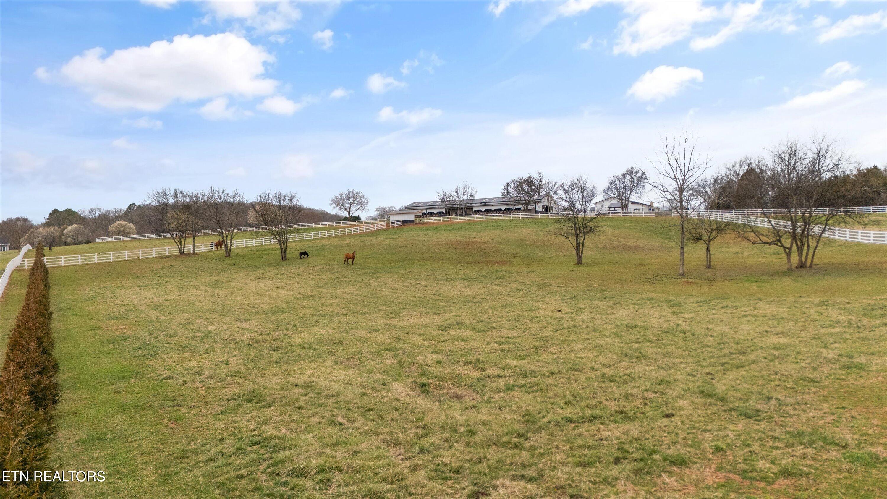 208 County Road 260 Niota TN 37826