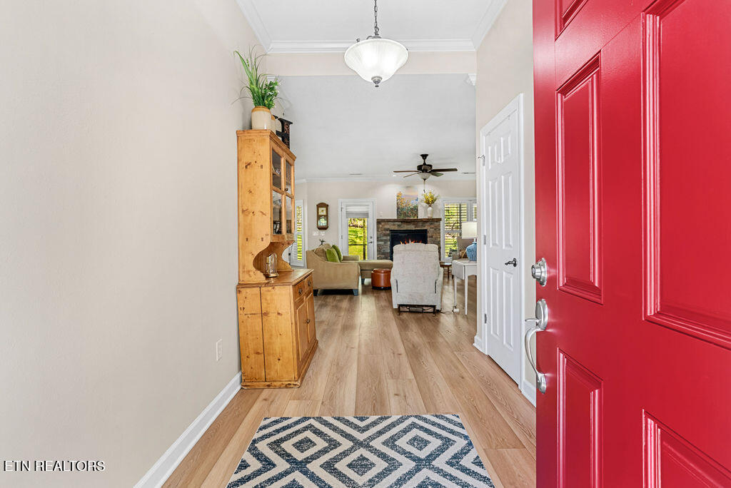 320 Ootsima Lane Loudon TN 37774
