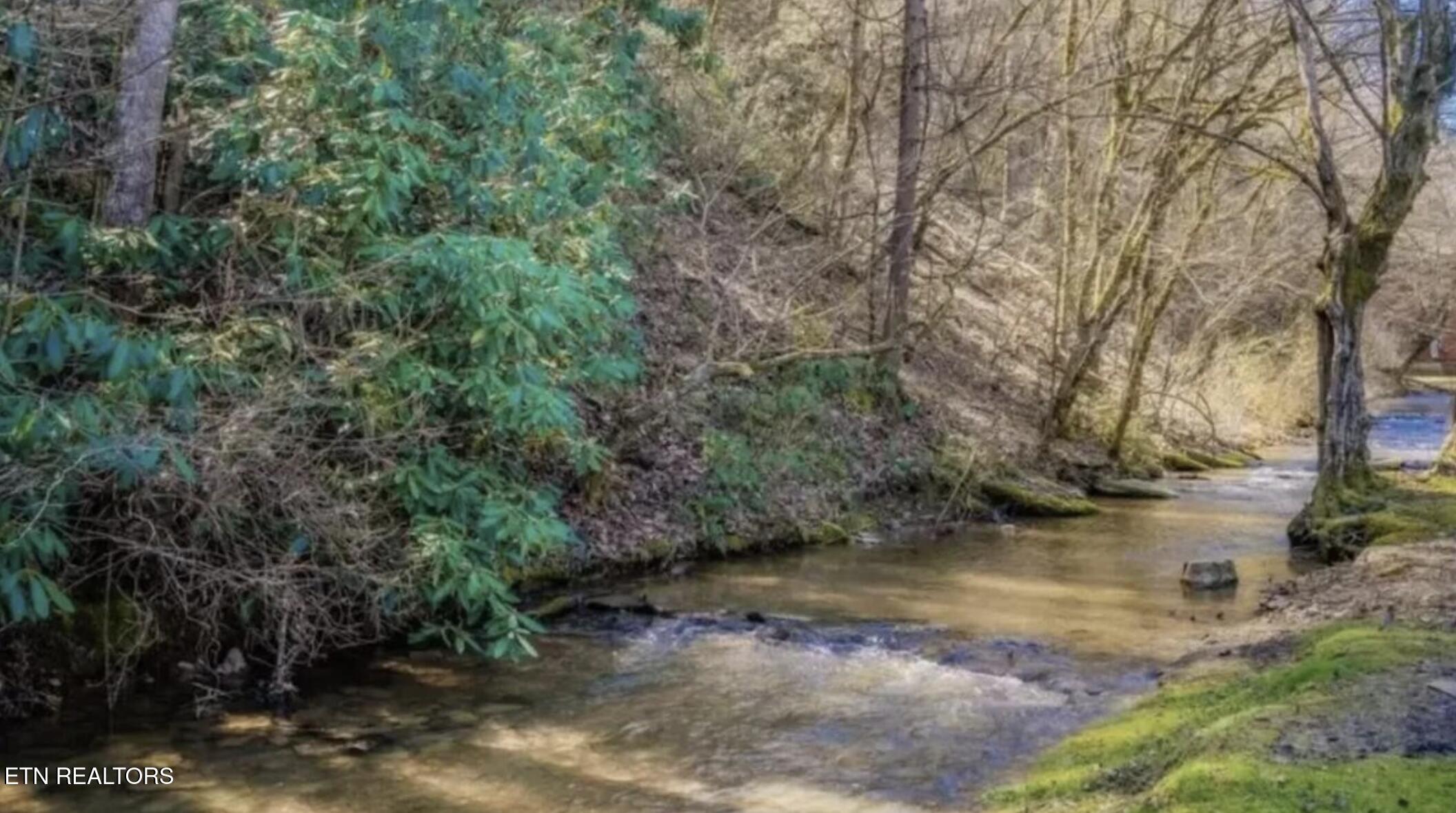 307 Caney Creek Road Pigeon Forge TN 37863