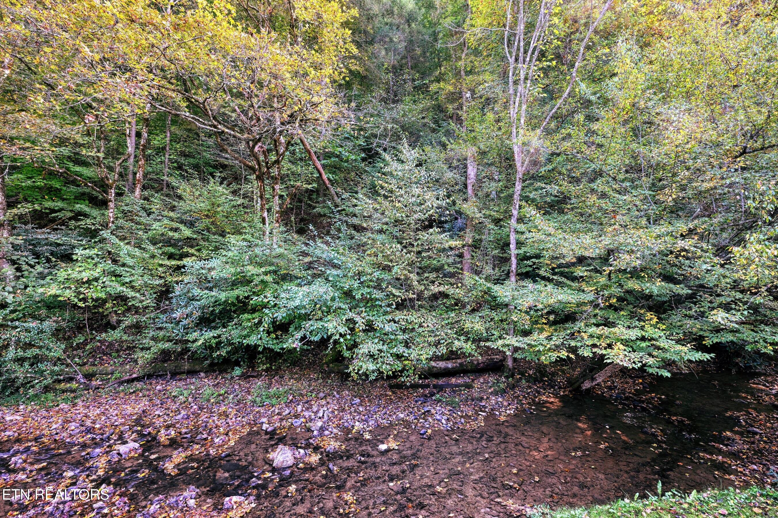 307 Caney Creek Road Pigeon Forge TN 37863